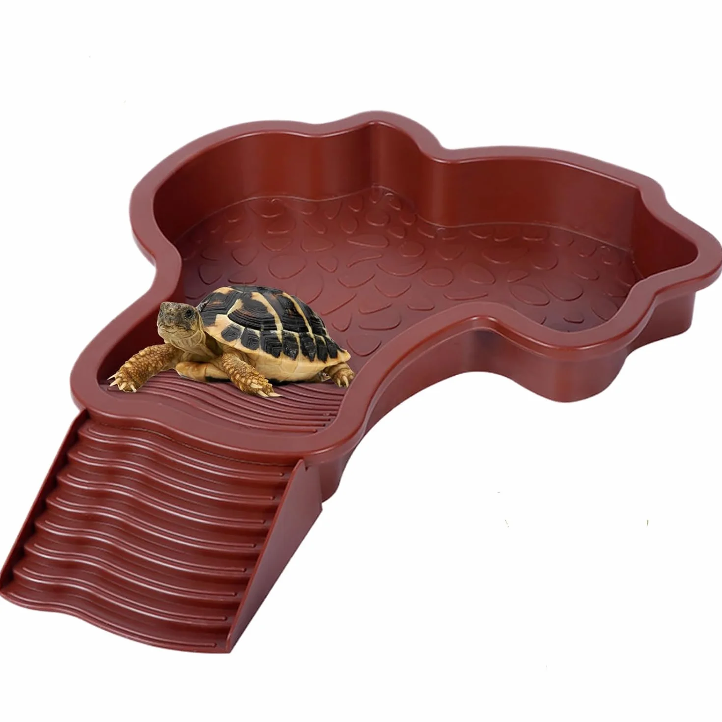 MEISO Abbeveratoio Tartaruga Terrestre, piatto d'acqua per tartarughe da piscina con rampa, ciotola d'acqua per rettili con scala, mangiatoia tartarughe terrestre, per tartarughe, lucertole e geco
