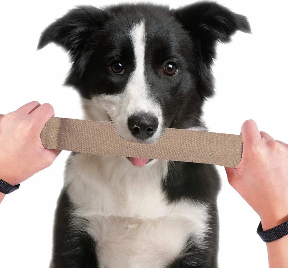Trixie, Rotolo in Iuta da Masticare, per addestramento