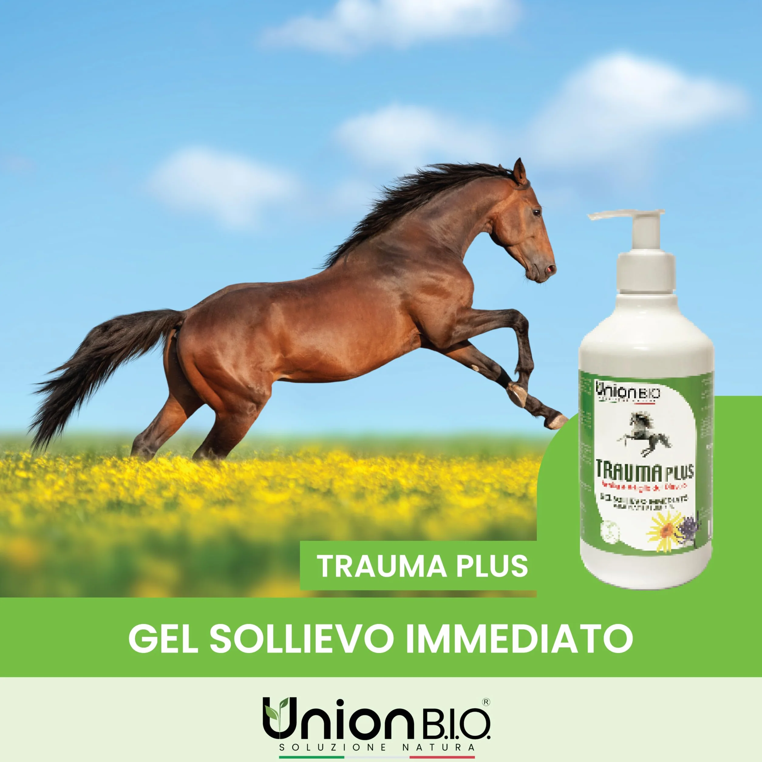 Union B.I.O. Soluzione Natura Traumaplus Gel Arnica Montana e Artiglio del Diavolo 500ml