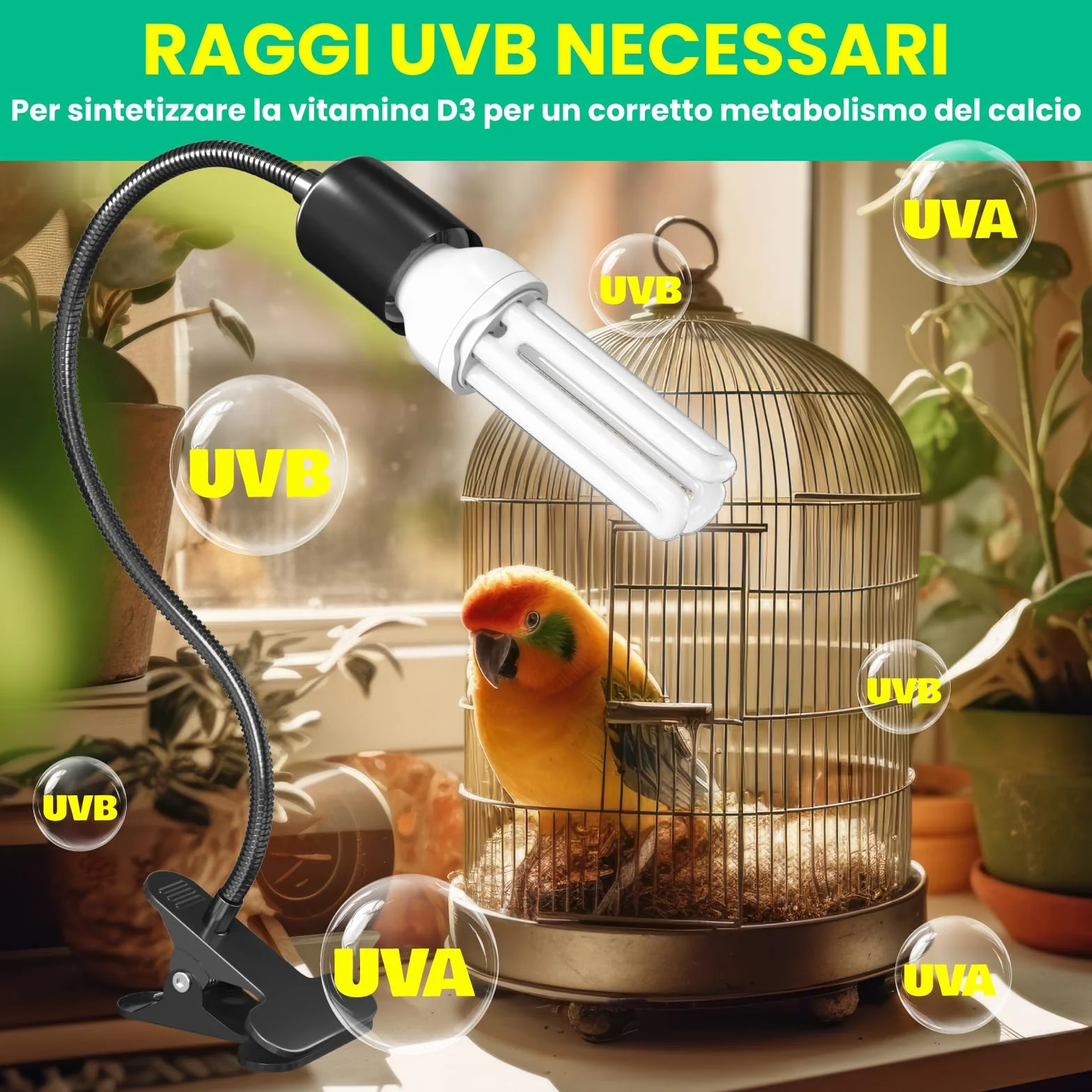 Lampada per Uccelli GlowUp Set Completo con Timer UVB E27 20W