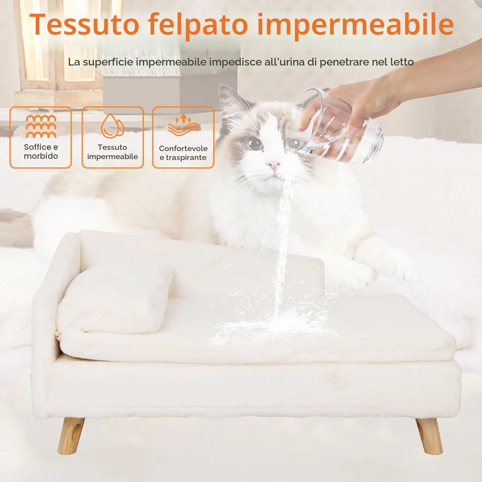 BingoPaw Divanetto per Cani e Gatti: Divano Letto Rialzato per Gatto Cani Inferiore a 25 kg Cuccia per Gatti da Interno con Cuscino Morbito Grande Cucce per Gatti da Interno, 80,5x48x23,5cm