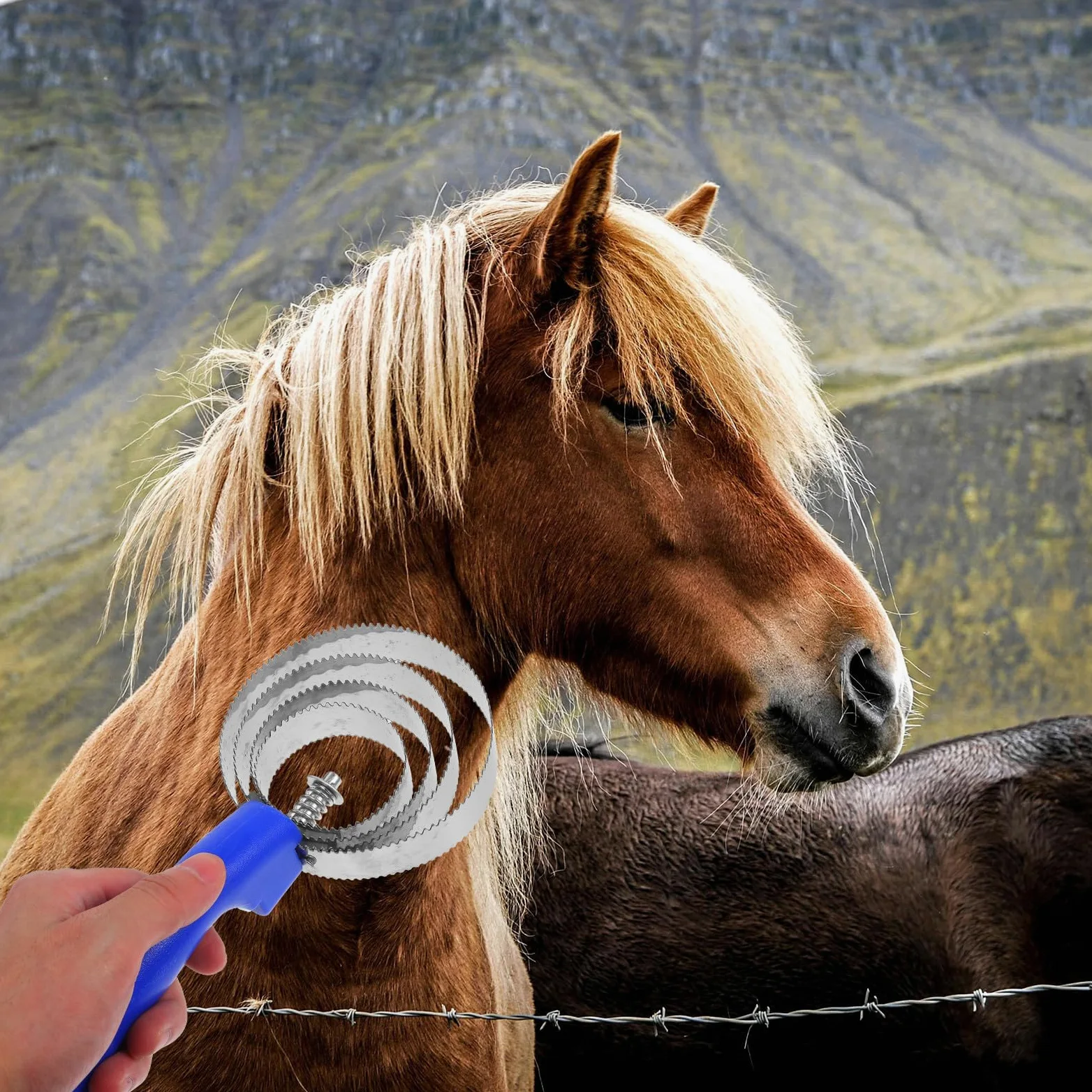 SUPVOX Spazzola in Metallo Resistente Per Rimozione Pelo Cavalli 2 Unità Strumento Per Toelettatura Equina Per Crine e Pelo Corpo