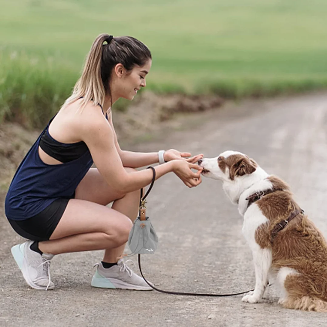 Sacchetto per cani in tela con clip e corda, per addestramento del cane (grigio)
