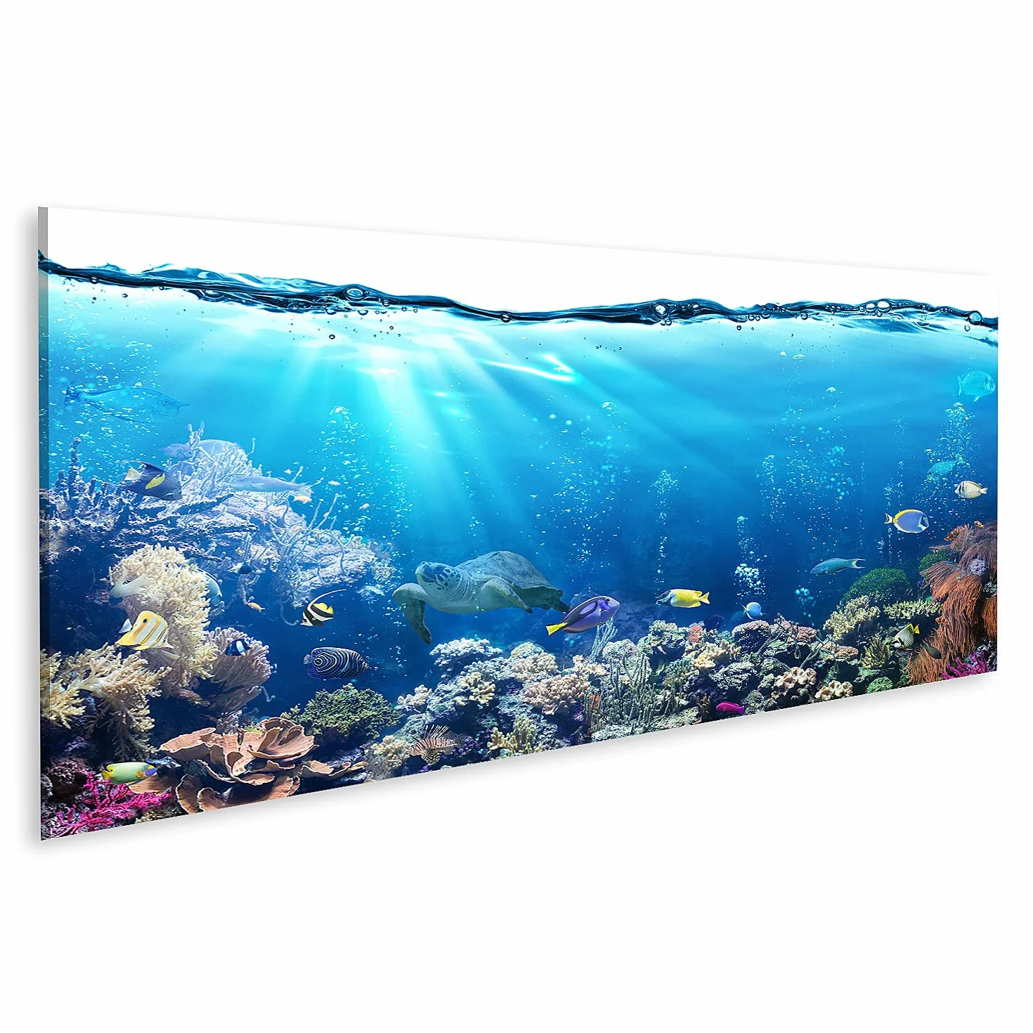 islandburner Quadro su tela Sott'acqua con barriera corallina e pesci tropicali sfondo acquario Quadri Stampe Immagini Murale Decorazione da parete