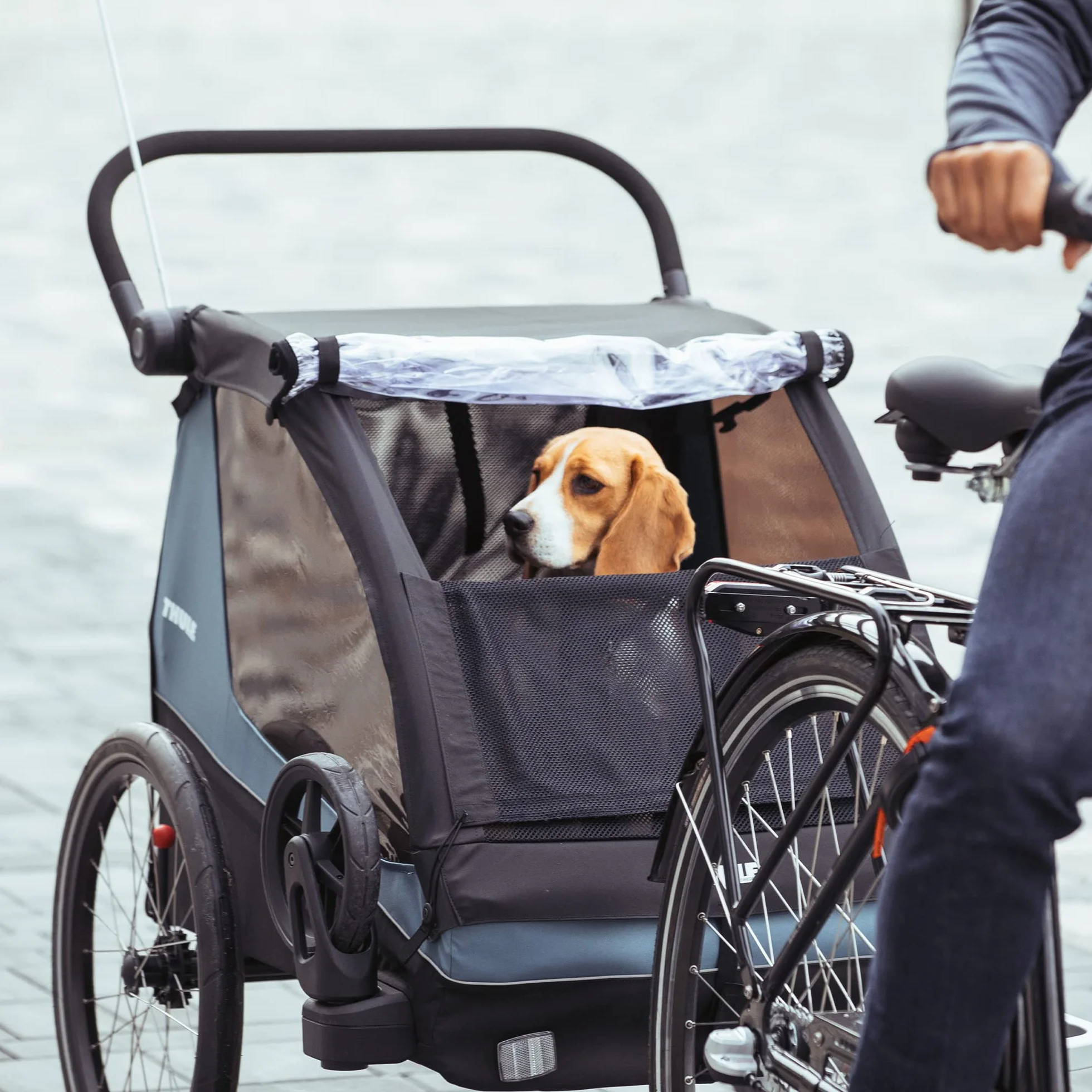 Thule Courier Dog Trailer Kit Rimorchio Cane Black, One-Size
