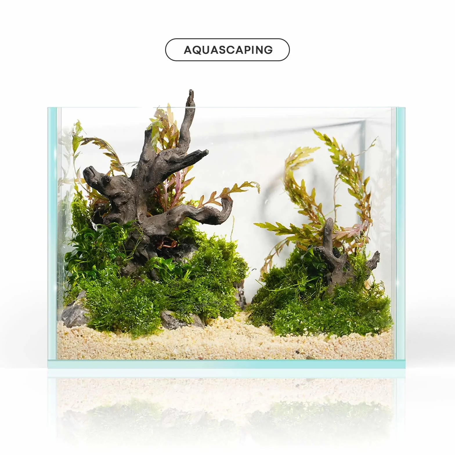 FZONE Legno Galleggiante in Resina per Acquario, Ornamento ad Albero Piccolo per Aquascaping in Acqua Dolce e Nano Acquari