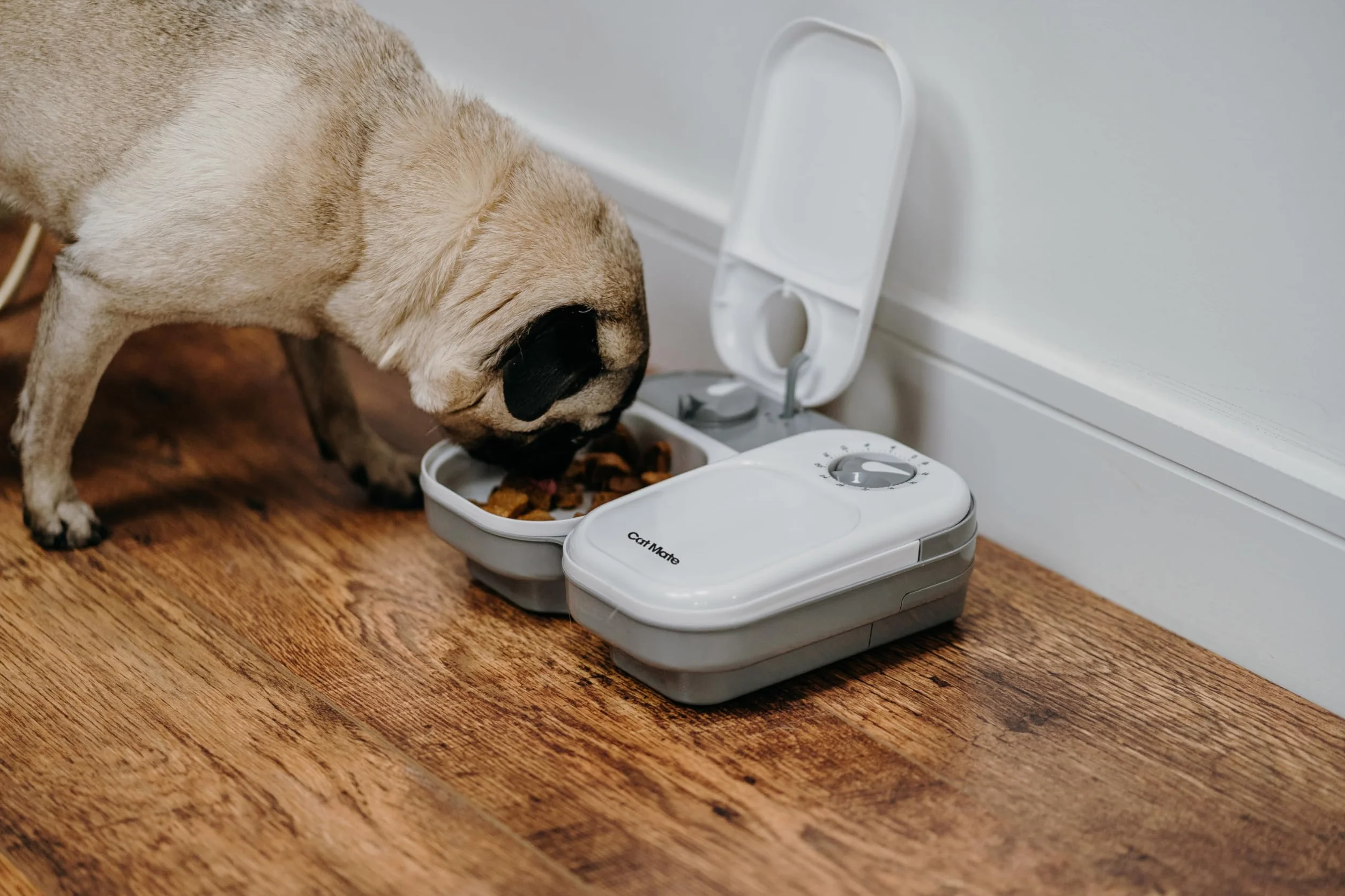 Cat Mate - Distributore Automatico di Cibo per 2 pasti