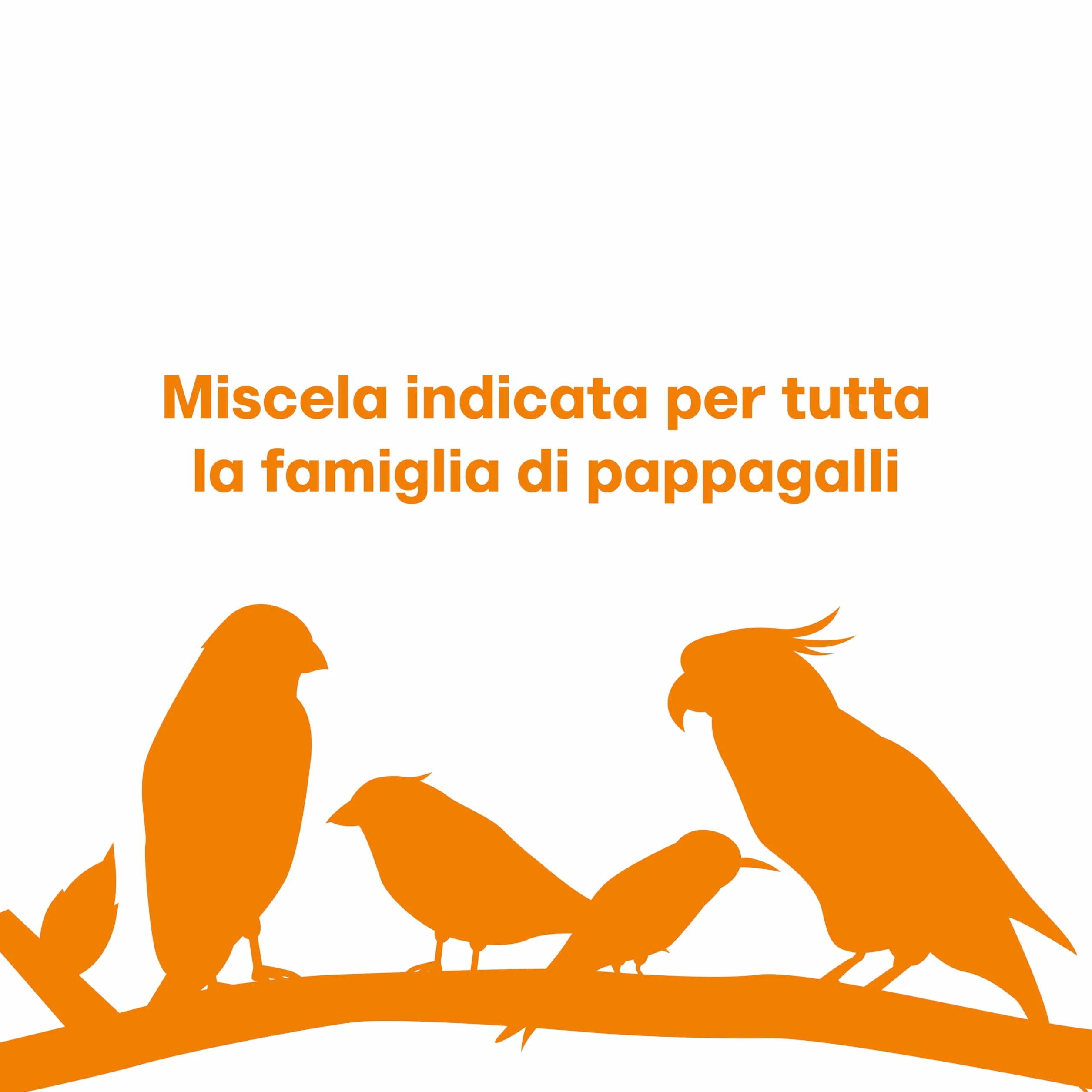 MISCUGLIO per PAPPAGALLI Grandi Il Contadino Formula Ricca di Semi Selezionati 5 kg