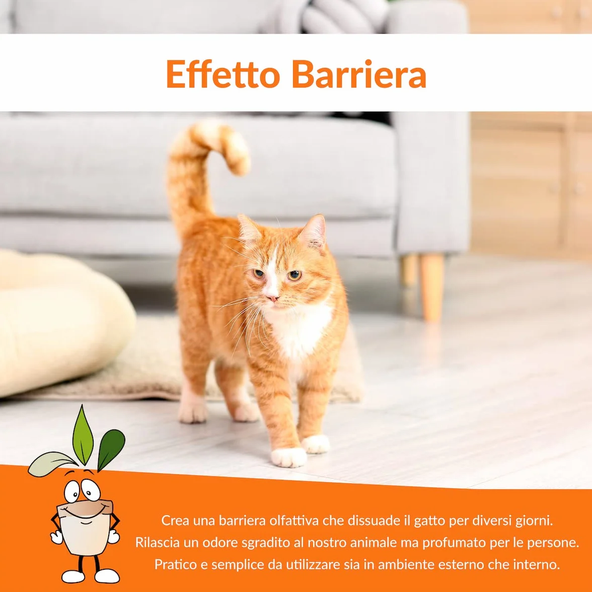 CLOSTER STOPPEE - Disabituante Gatti 750 ML - Spray Disabituante per Gatti vegetale a Base di Timo - Dissuasore per Gatti per Interni ed Esterni - deterrente per Gatti agisce in Modo 100% Naturale