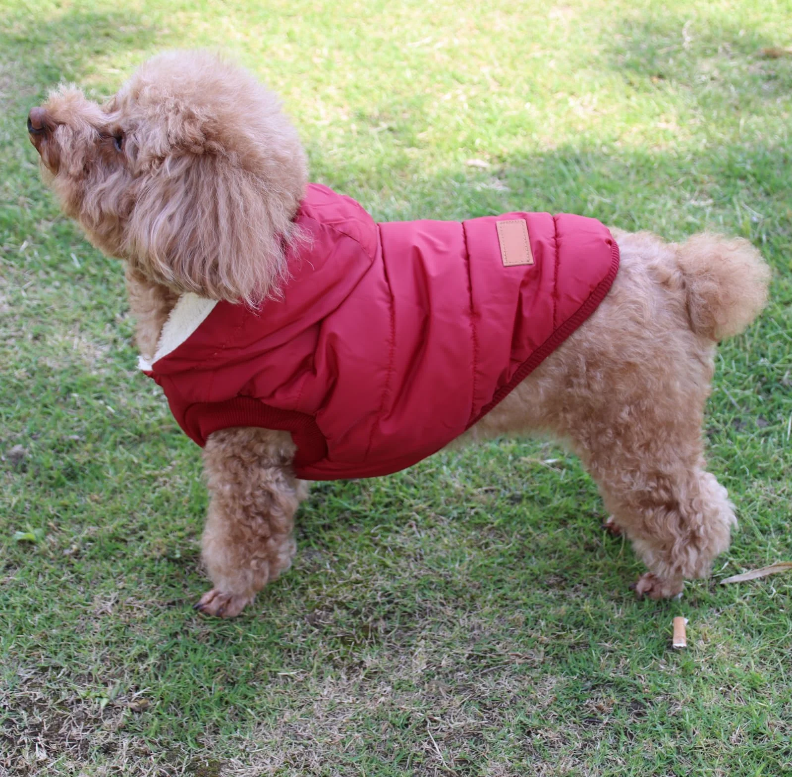 Cappottino invernale per cani con cappuccio foderato in pile rosso M