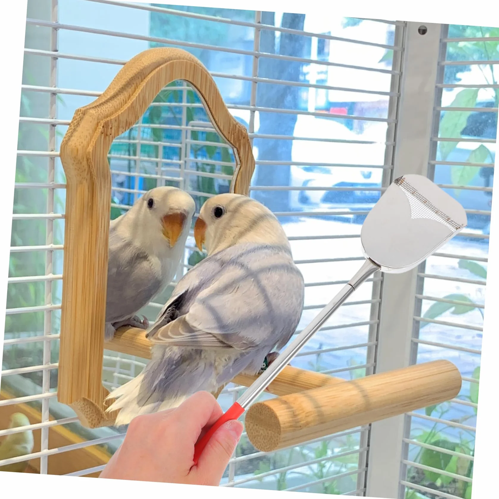 BESPORTBLE 2 Pezzi Spazzola Per La Pulizia Della Gabbia Degli Uccelli Attrezzi Pulizia Casa Spazzole Mangiatoie Uccelli Pulitore Gabbie Piccoli Animali