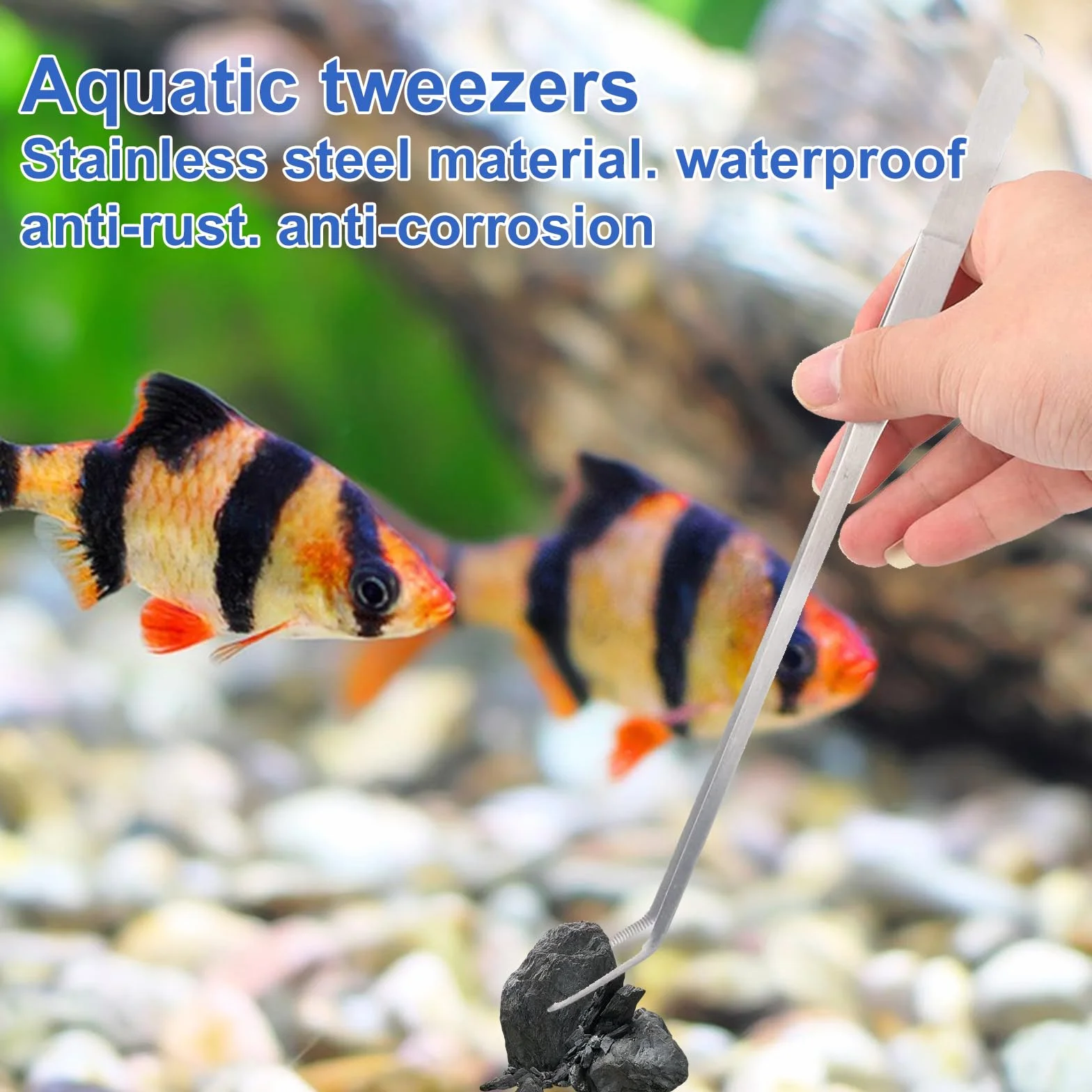 Set di Attrezzi per Acquario in Acciaio Inox 4 in 1 Pinzette Forbici Spatola