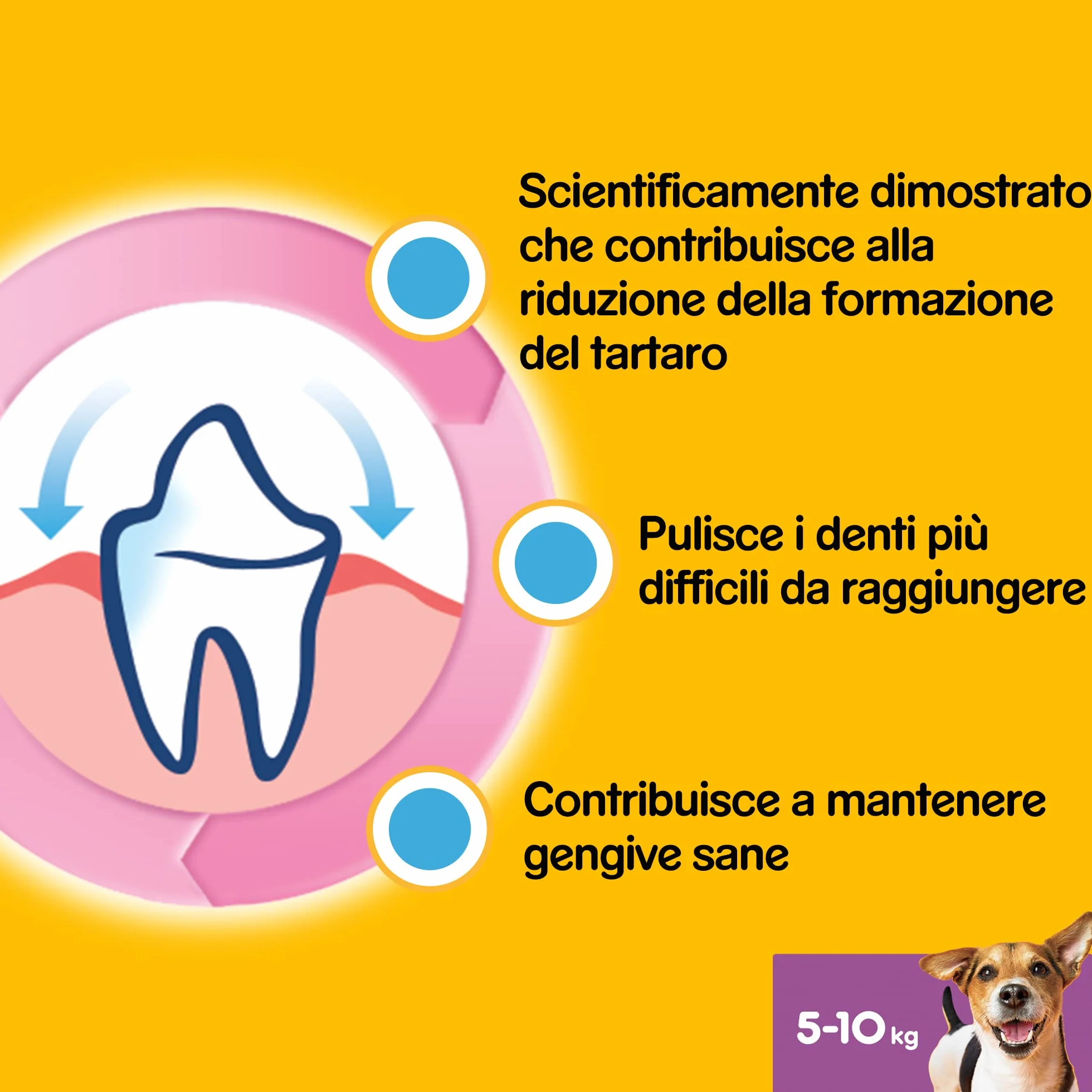 Pedigree Dentastix Snack per la Igiene Orale (Cane Piccolo 5-10 kg) 110 g 7 Pezzi - 10 Confezioni da 7 Pezzi (70 Pezzi totali)