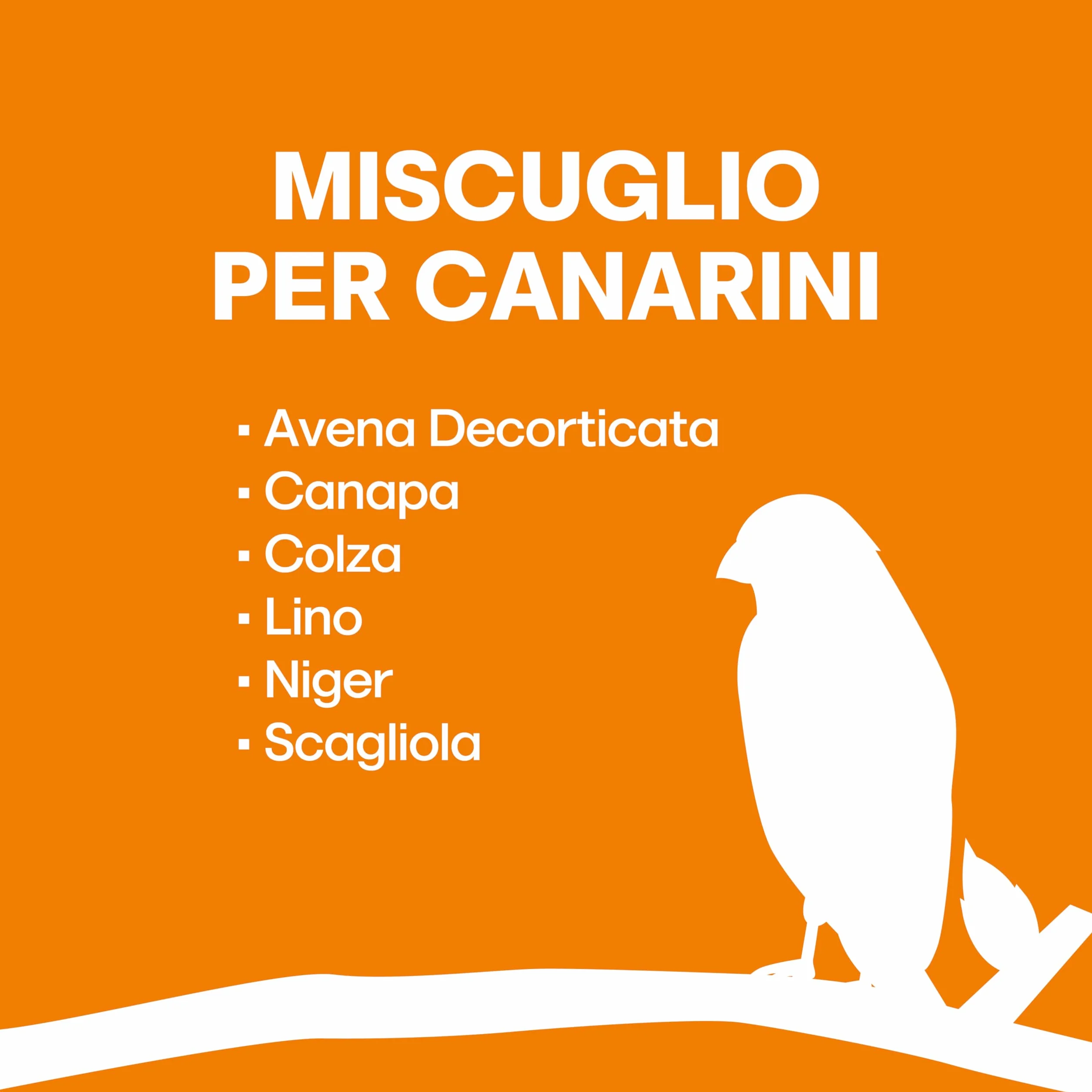 Il Contadino - Antichi Becchimi | MISCUGLIO per CANARINI | Formula Ricca di Semi Selezionati Adatta per Tutto L'Anno, No OGM, 100% Vegetale, Assenza di scarti. qualità Superiore (1 kg)