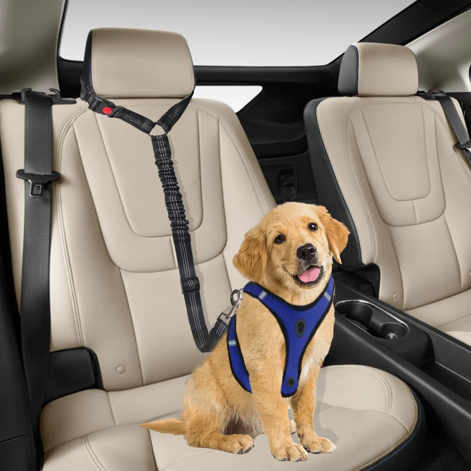Cintura Sicurezza Cani per Auto - Cintura di Sicurezza per Cani di Piccola Taglia Cane di Taglia Media (Blu)
