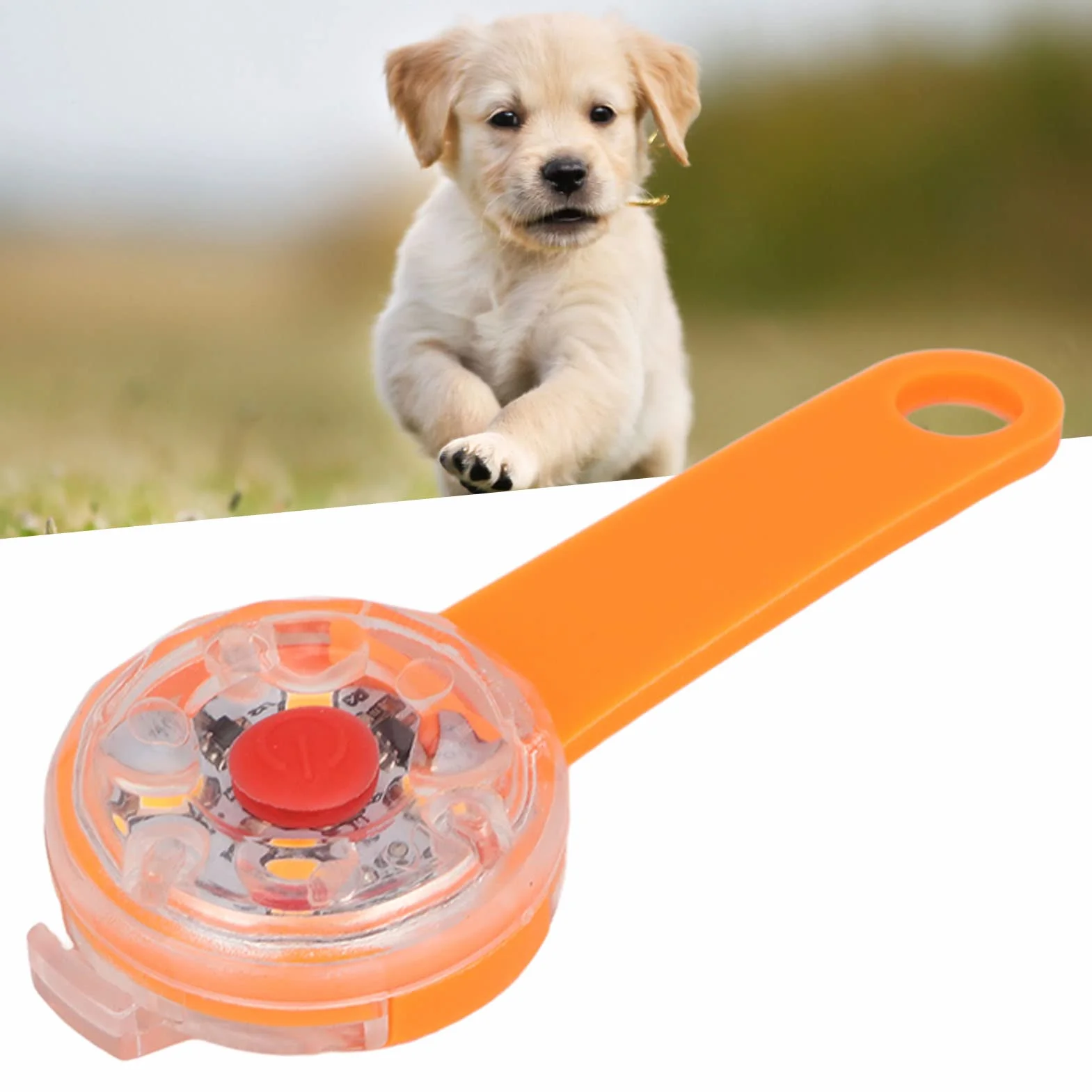 Luce a LED per cani ricaricabile USB impermeabile IPX7 3 modalità illuminazione collare borsa bici animali domestici Arancia