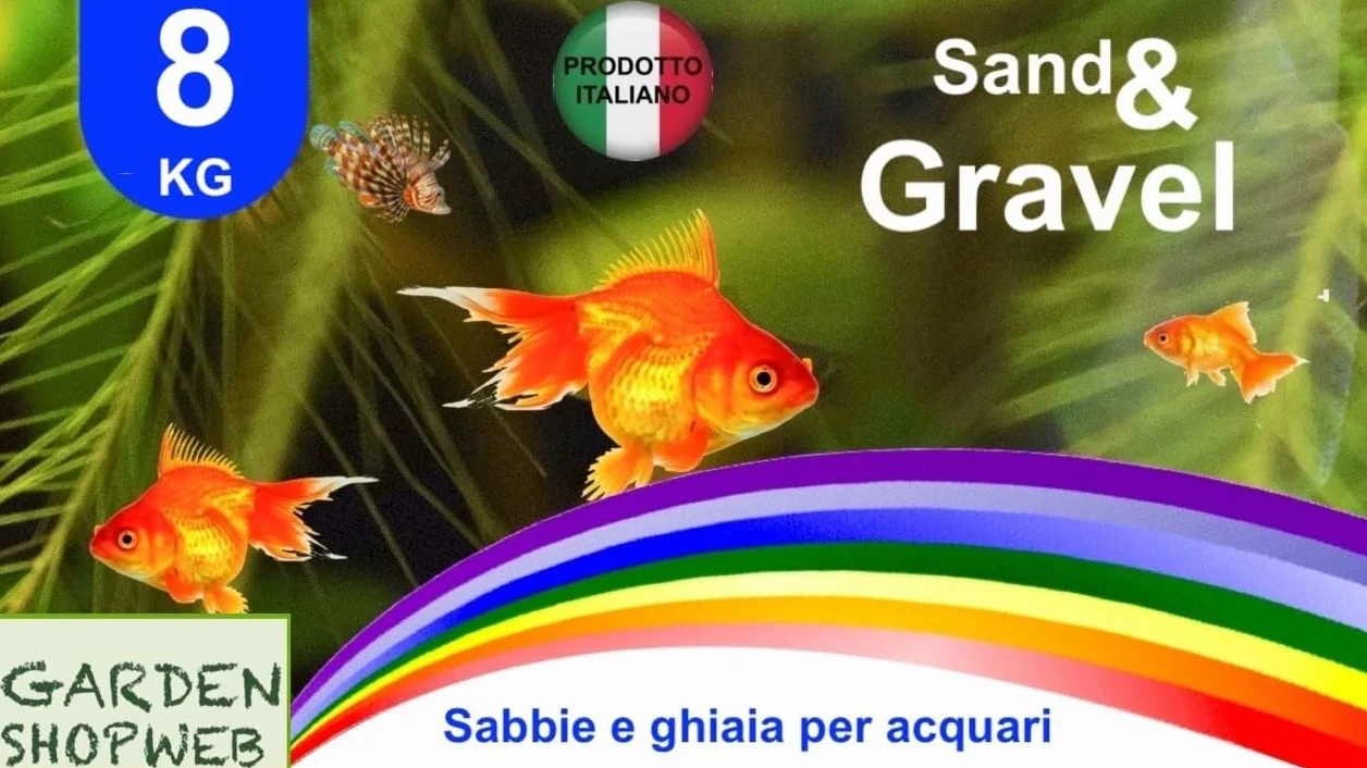 SABBIA O GHIAIA QUARZO BIANCO 4KG 8KG PER ACQUARIO SECCHIELLO RIGIDO RICHIUDIBILE BIANCA FINISSIMA