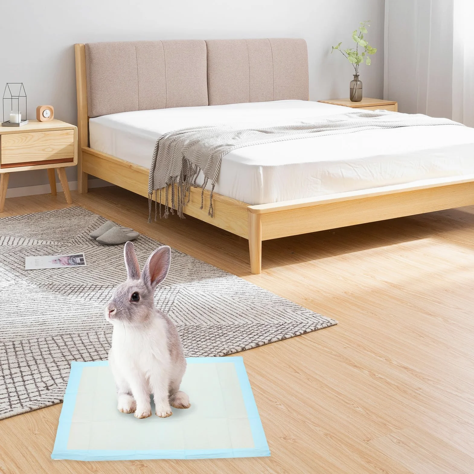 Tappetini Pezzi Cani per Piccoli Assorbenti 50 Conigli e Non Tessuti Rapido per Addestramento Gabbia per Piccoli Animali