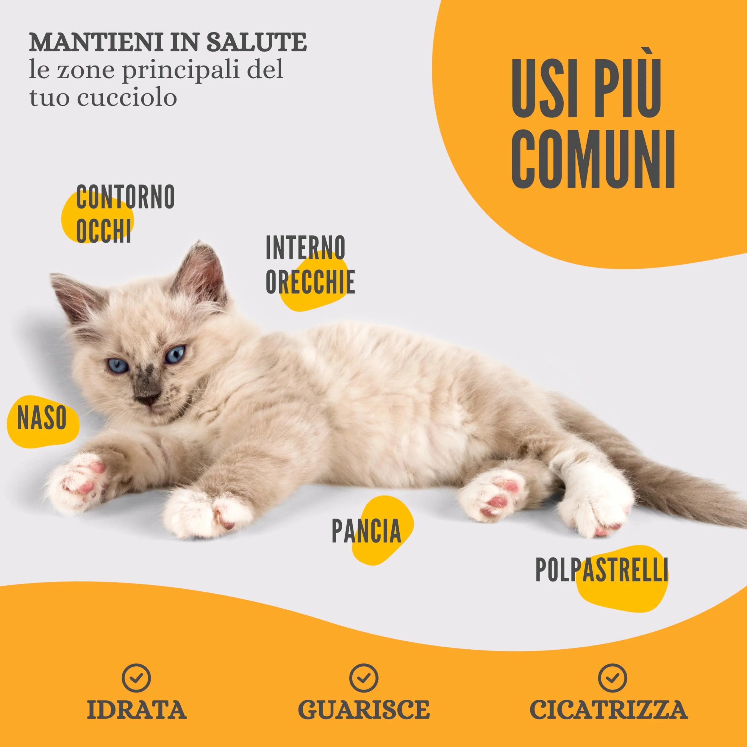 LexyFriend Crema Polpastrelli Cane Gatto Cicatrizzante Pomata Protezione Zampe 150ML