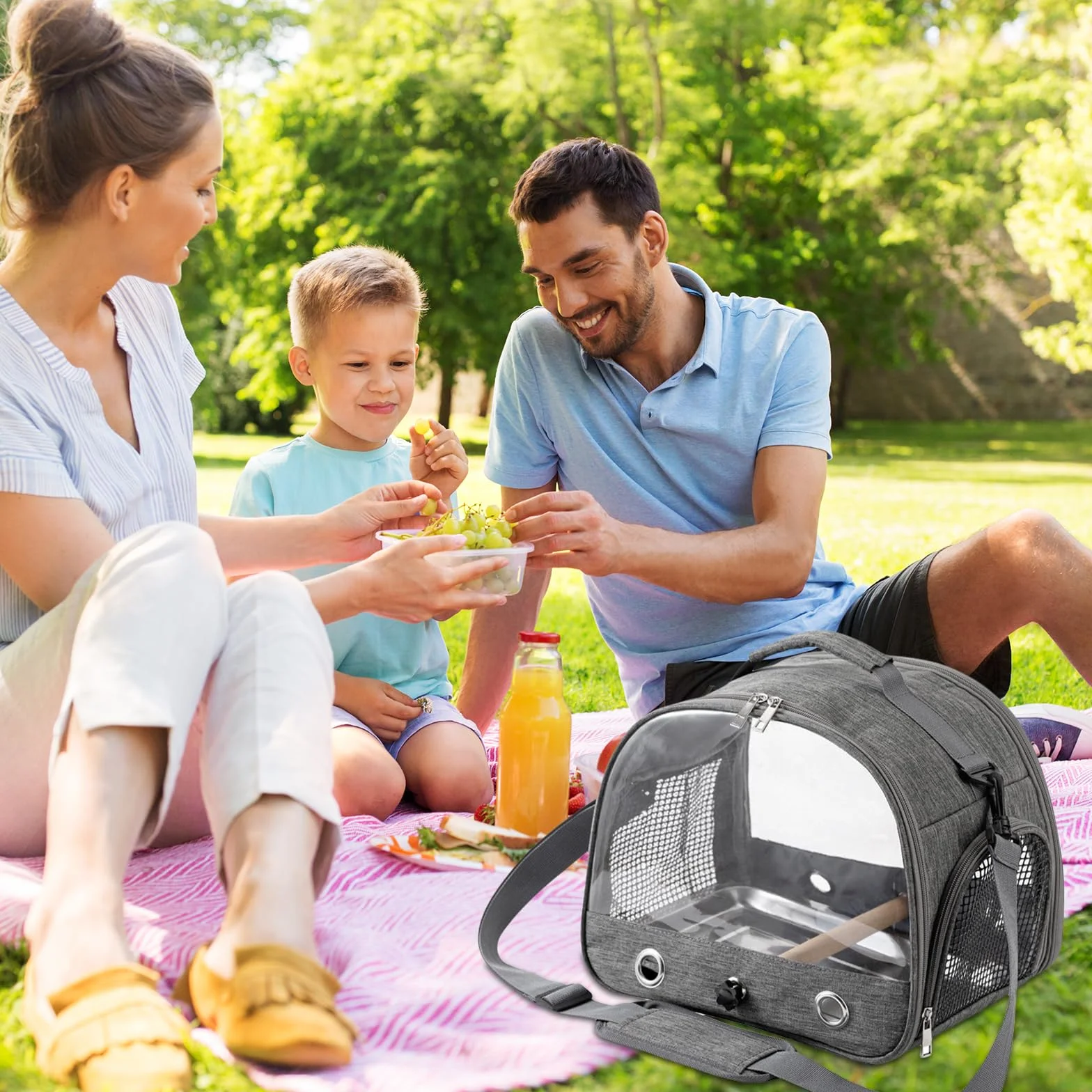 Bordeag Borsa Da Trasporto per Uccelli, Borsa Da Viaggio per Pappagallo, Gabbia Da Viaggio Portatile Zaino Uccelli Zaino Con Posatoio In Piedi Vassoio In Acciaio Inox Per Pappagallo Parrocchetto