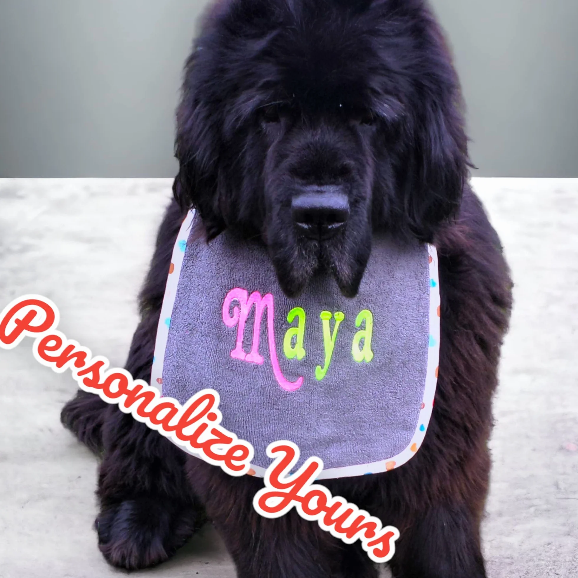 Pettorina personalizzata per cani con ricamo a 2 colori e laccetto regolabile neon