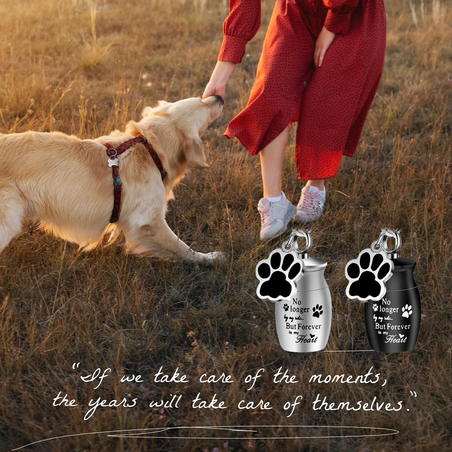 KALIONE 2 urne per animali domestici, portachiavi, urne, per ceneri di cani, ceneri in acciaio inox, piccole urne per cani, gatti, ceneri con sacchetti per riporre animali domestici, gioielli per
