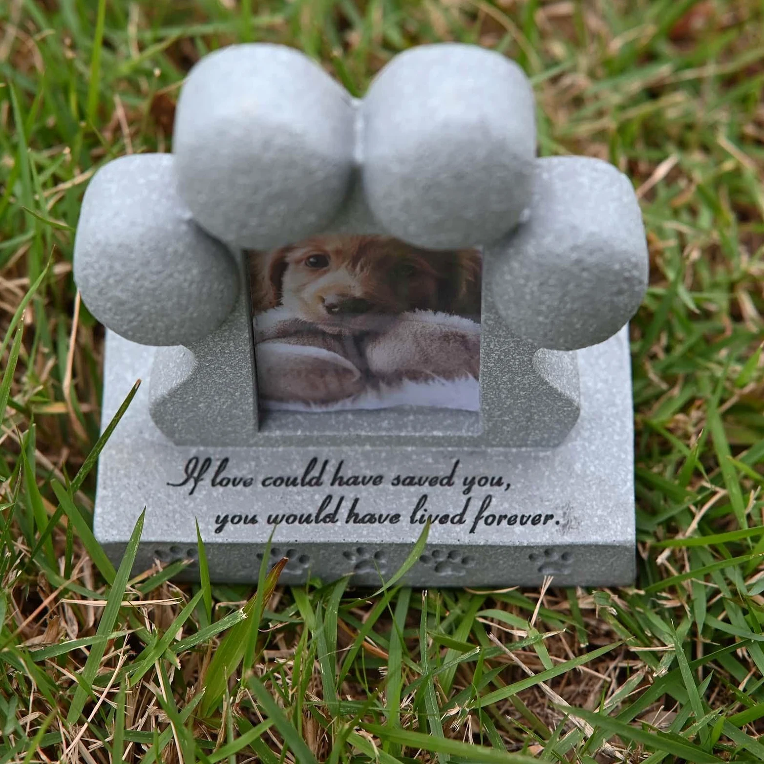 Cornice Commemorativa per Cani con Portachiavi con Peli di Cane, Regalo per Chi Ha Perso Un Cane Ricordo per Cani E Gatti