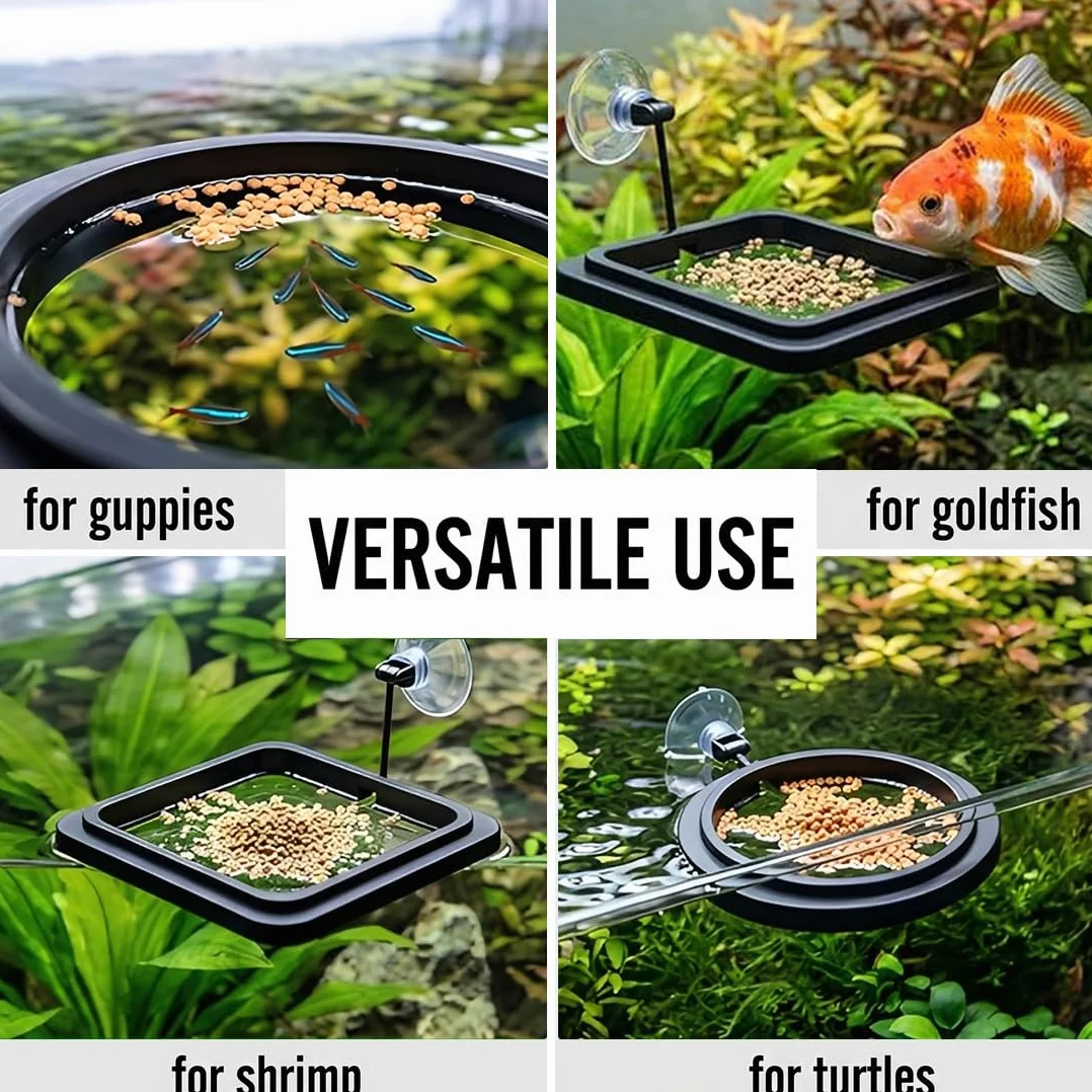 4 Pezzi Anelli di Mangime per Acquario, anello flottante tondo e quadrato per pesci, per betta, guppy e tartarughe, nero