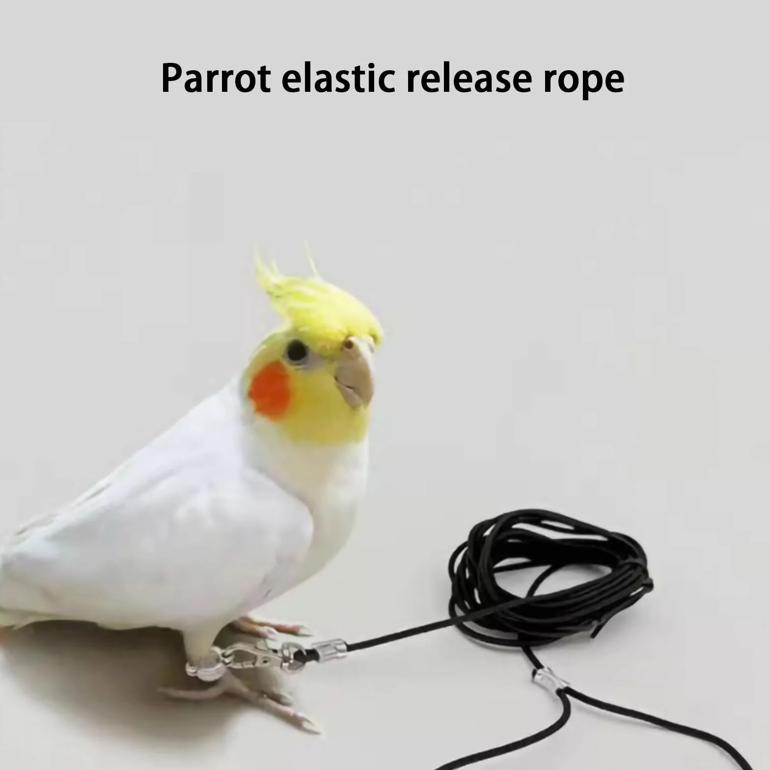 Pet Bird Guinzaglio per piccoli 9 84 piedi pappagalli in lino elastico corda con 6# anelli alla caviglia