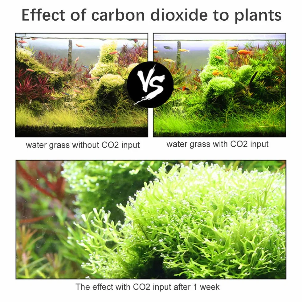 Zestaw generatora CO2 do akwarium z licznikiem bąbelków i zaworem zwrotnym