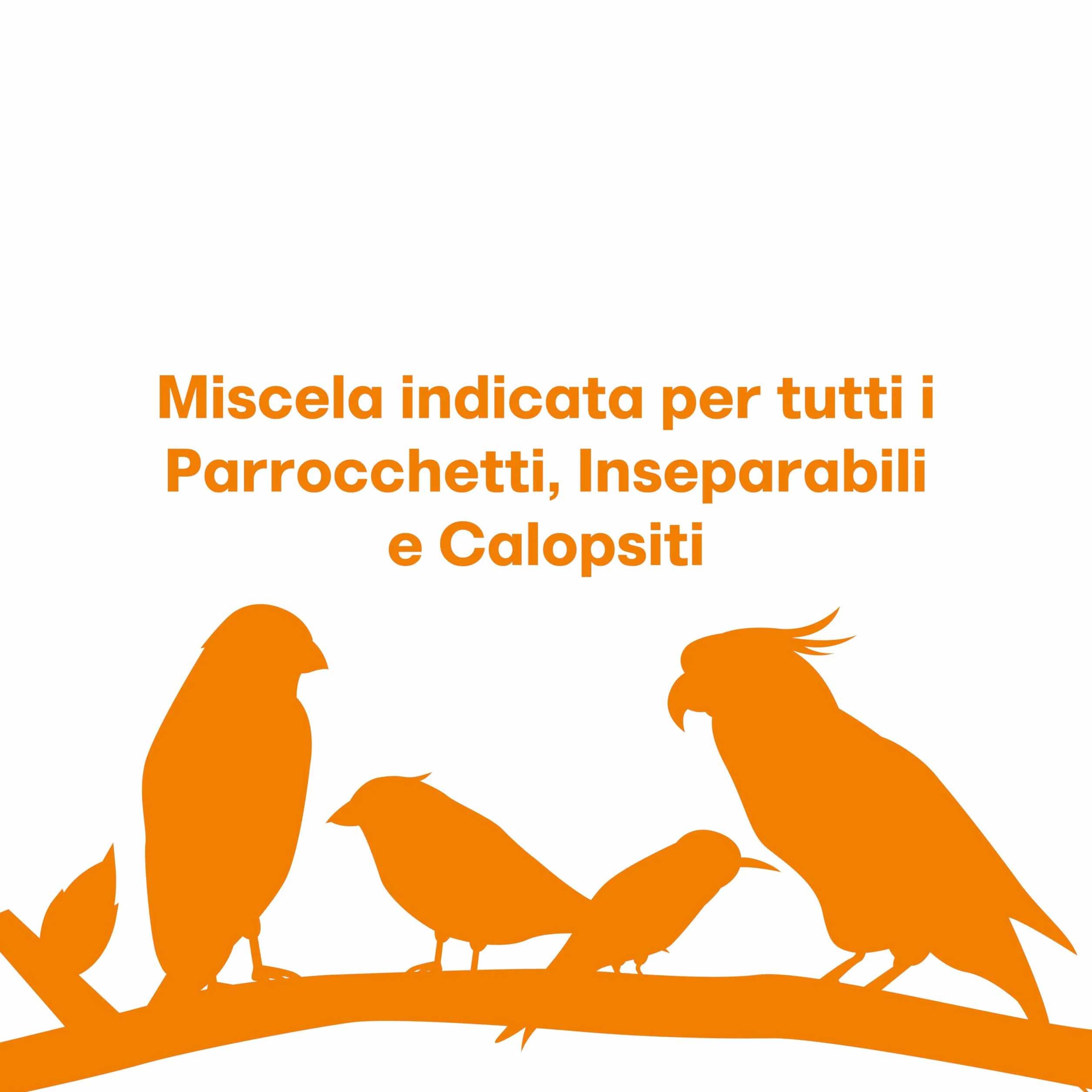 Il Contadino Antichi Becchimi MISCUGLIO per PARROCCHETTI Formula ricca di semi Selezionati No OGM 100% Vegetale 20 Kg