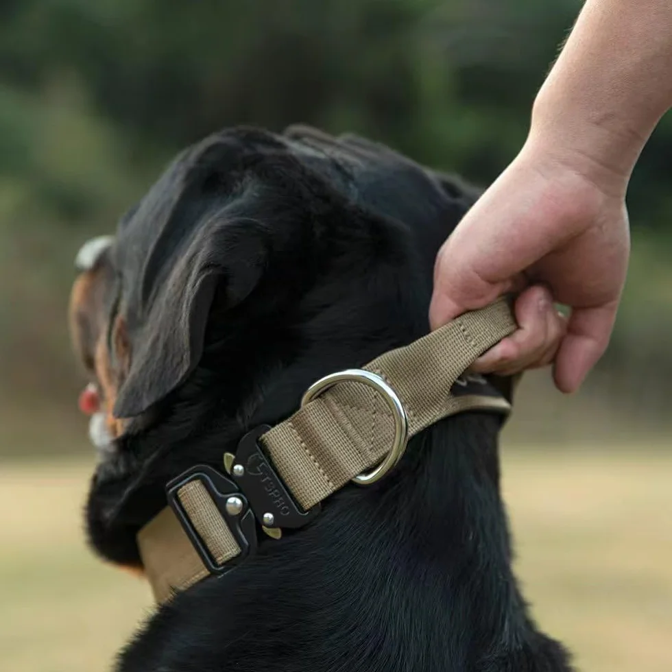 TSPRO Premium Collare per Cani, Regolabile Collare Tattico con Maniglia e una Robusta Fibbia Metallica a Sblocco Rapido, per Cani di Taglia Media a Grande (Blu M)