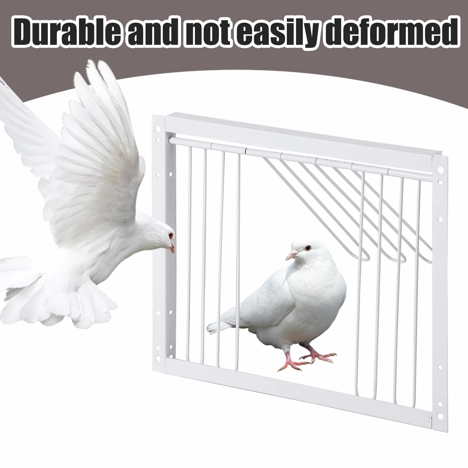 T-Trap - Porta d'ingresso per animali domestici, usa e getta, per piccione da corsa, piccione, porta d'ingresso in ferro, pappagallo, accessorio per l'allevamento di uccelli, 33 x 26 cm