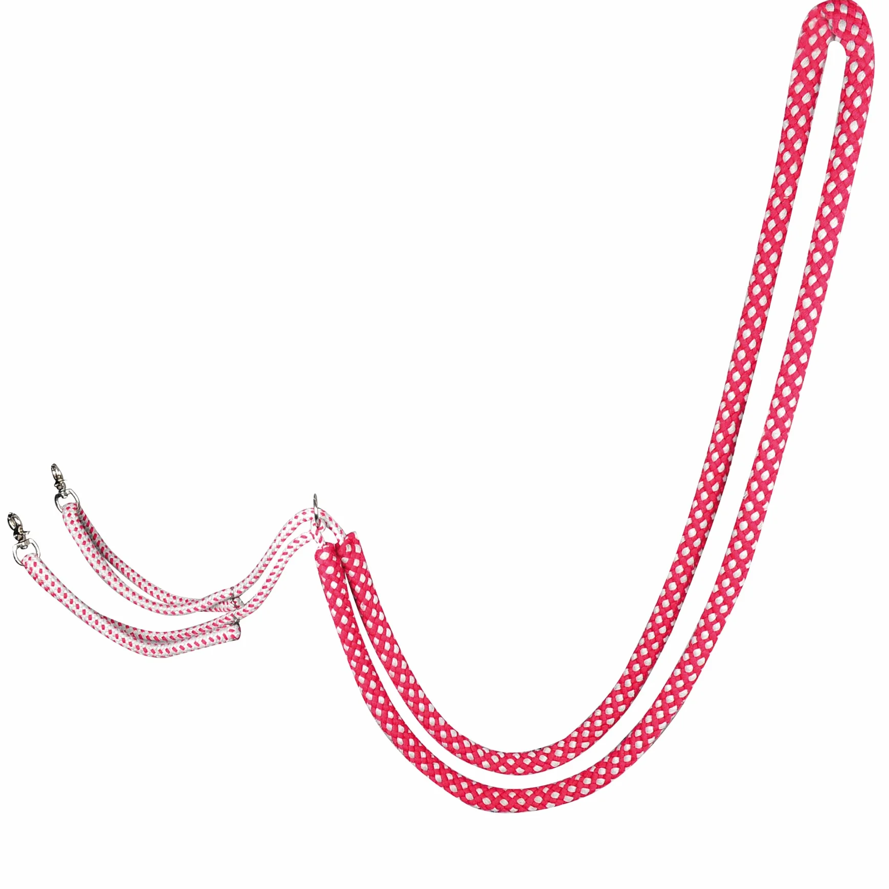 CBL Lunging Aid