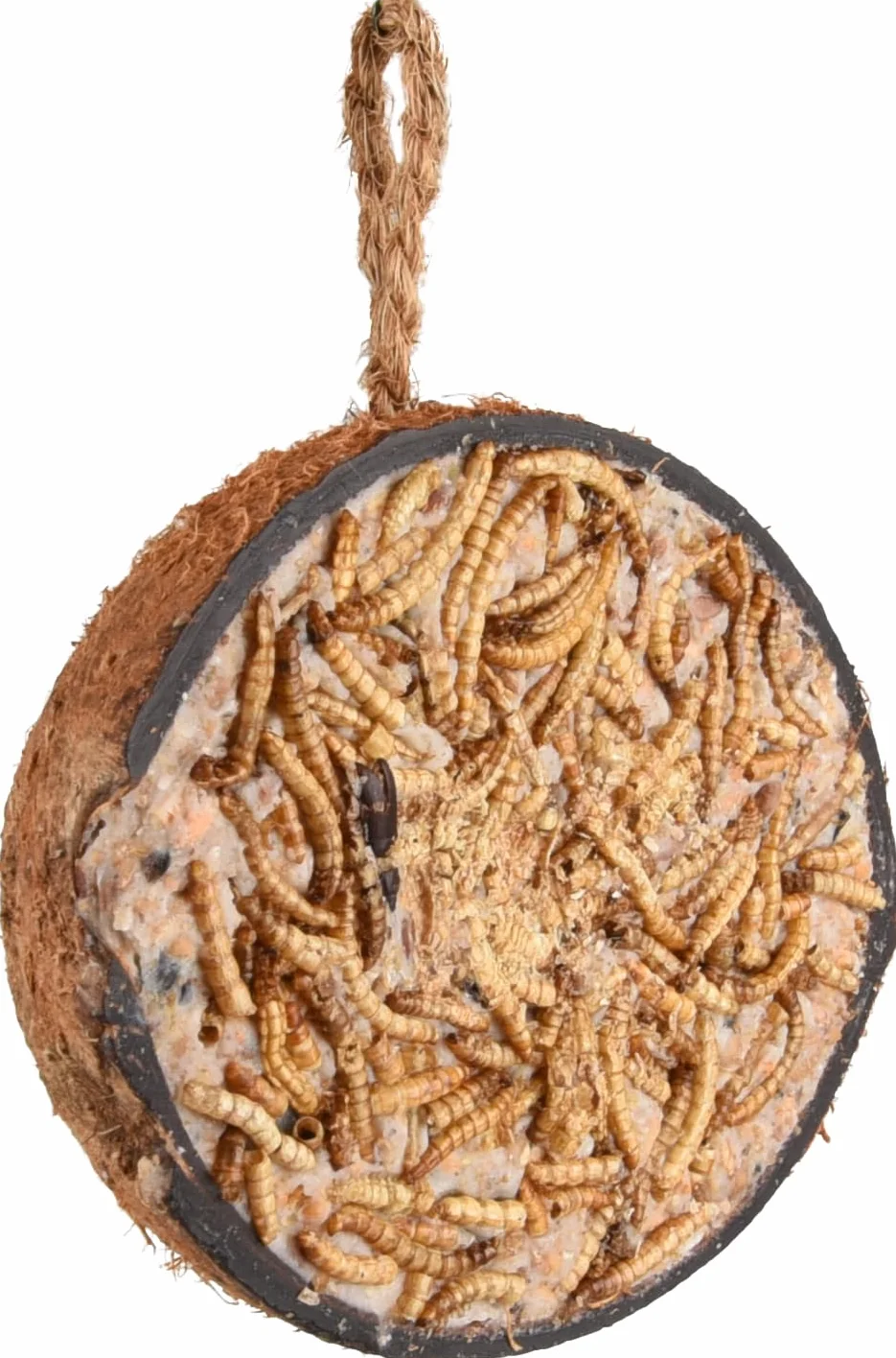 Mangime Uccelli Selvatici - qualità Premium - Noce di Cocco ripiena con Vermi della Farina - 200g