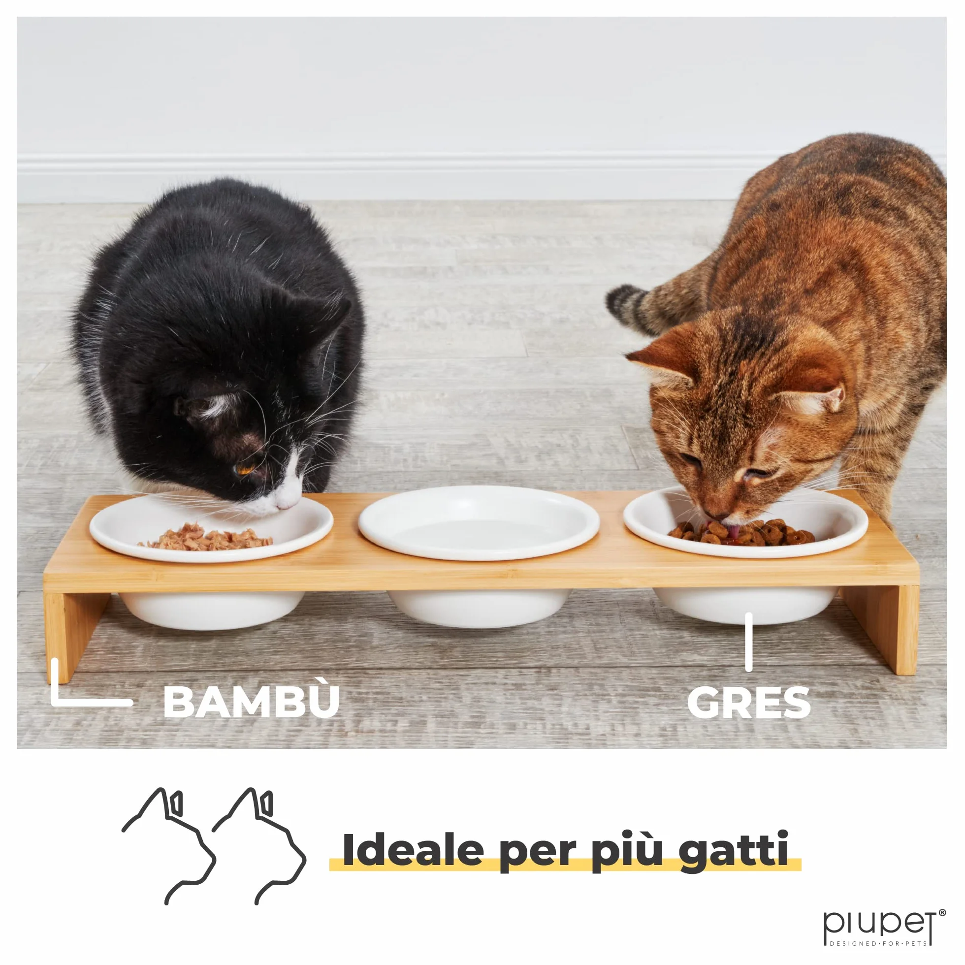 PiuPet® 3er Ciotola per Gatti I 250ml I Lavabile in lavastoviglie I Ciotole per Gatti Rialzate I Ciotole Ceramica I Ciotola per Cani Piccoli I Cestello con 3 ciotole