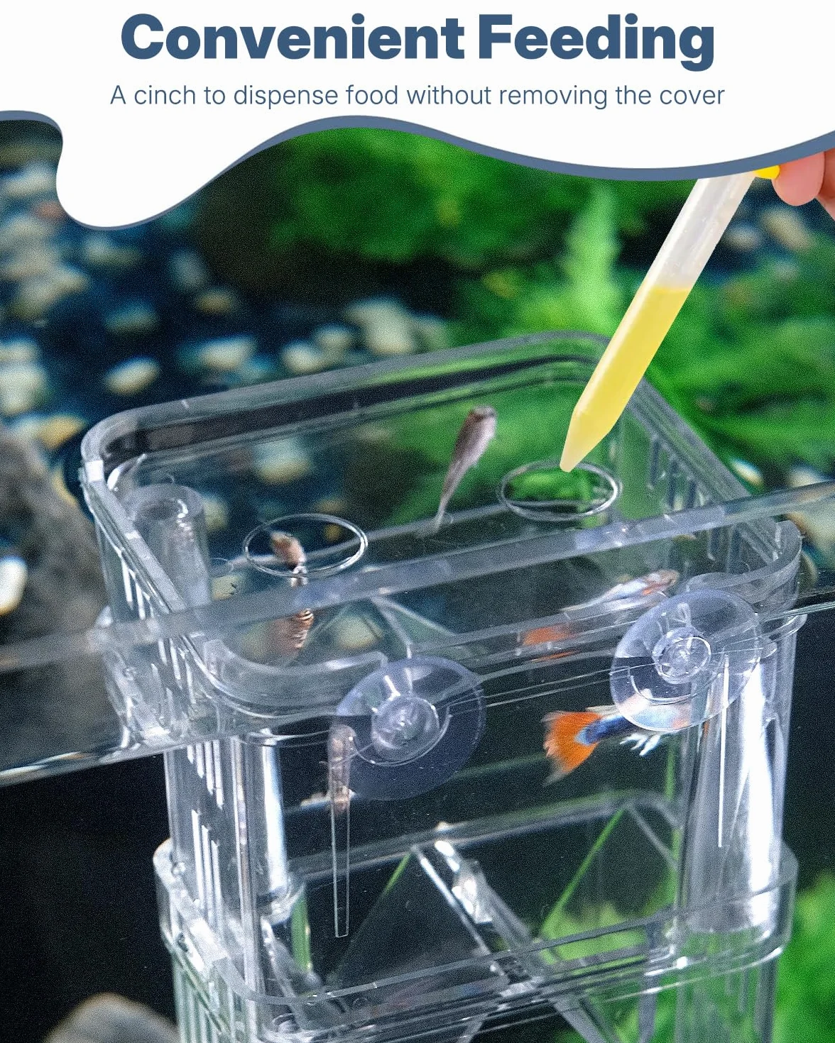 Pawfly acquario pesce allevamento box trasparente plastica Breeder Box per serbatoio di pesce avannotti incubatore incubazione Box per pesci aggressivi Guppy