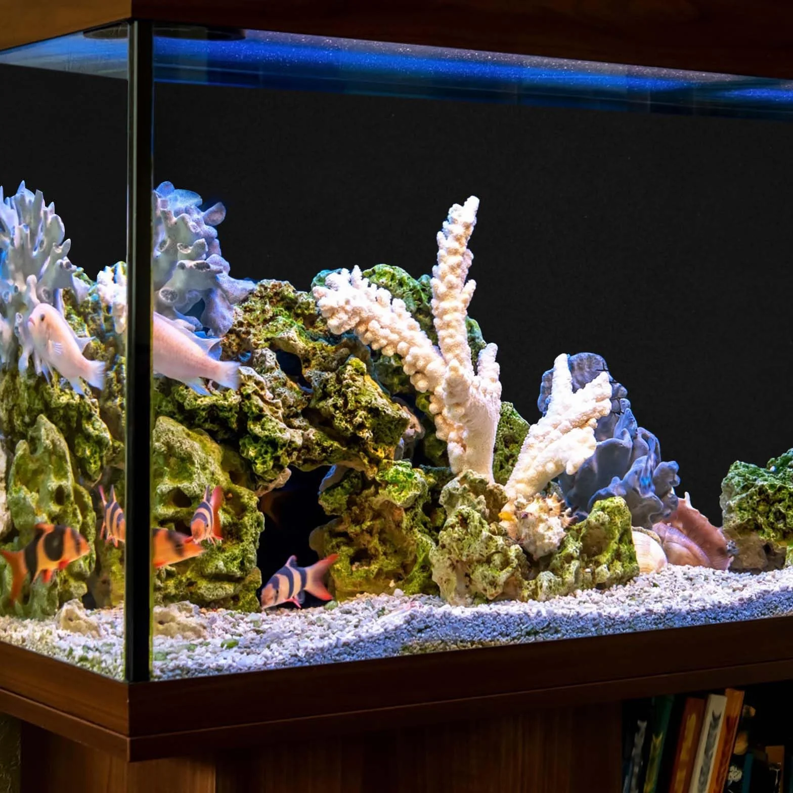 lasuroa Sfondo per Acquario, 40x100 cm Sfondo per Acquario Nero Sfondo per Acquario Statico Sfondo per Acquario Statico