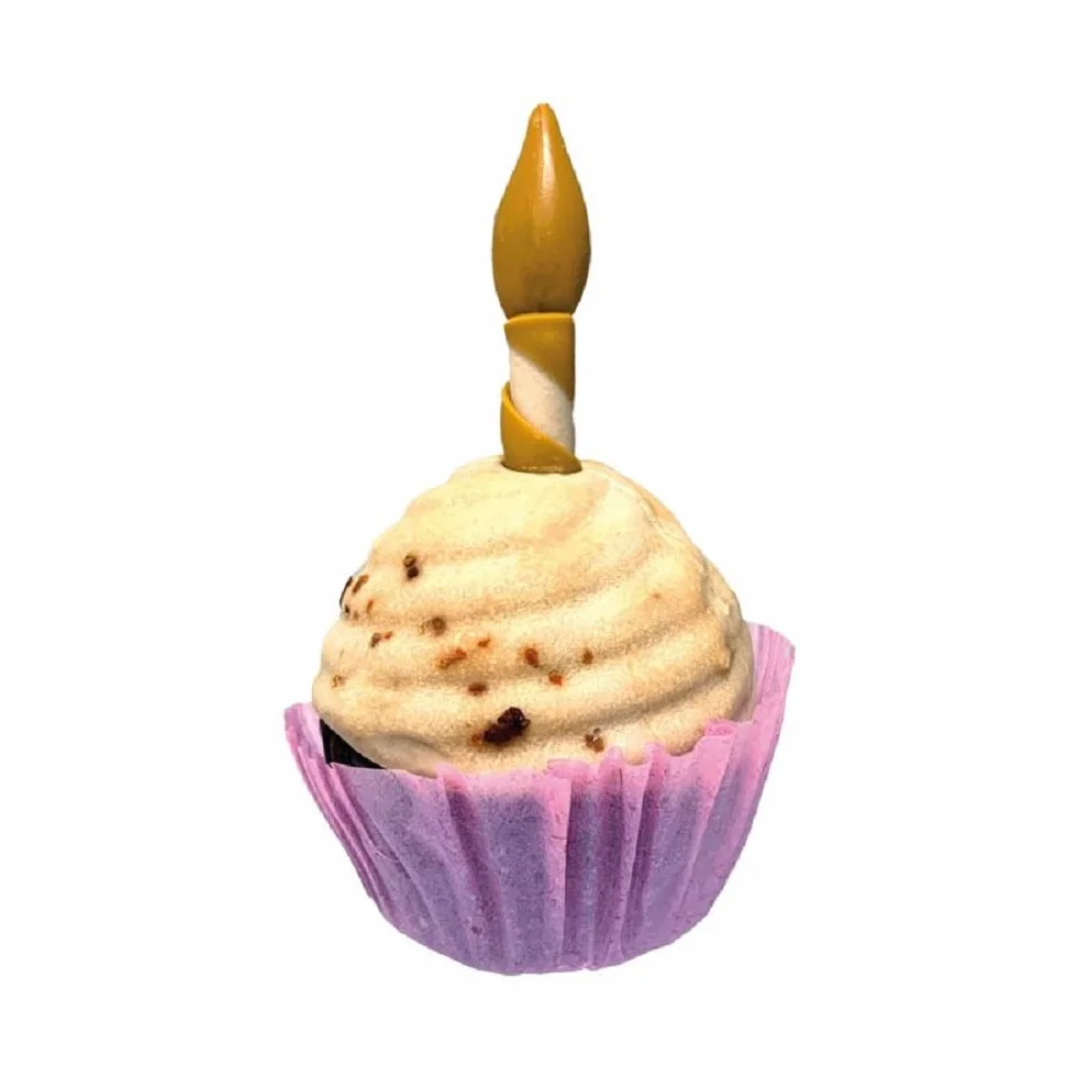 Croci Pet's Party Cupcake - Torta di compleanno per cani, Snack per cane complementare, senza zuccheri aggiunti, 65g