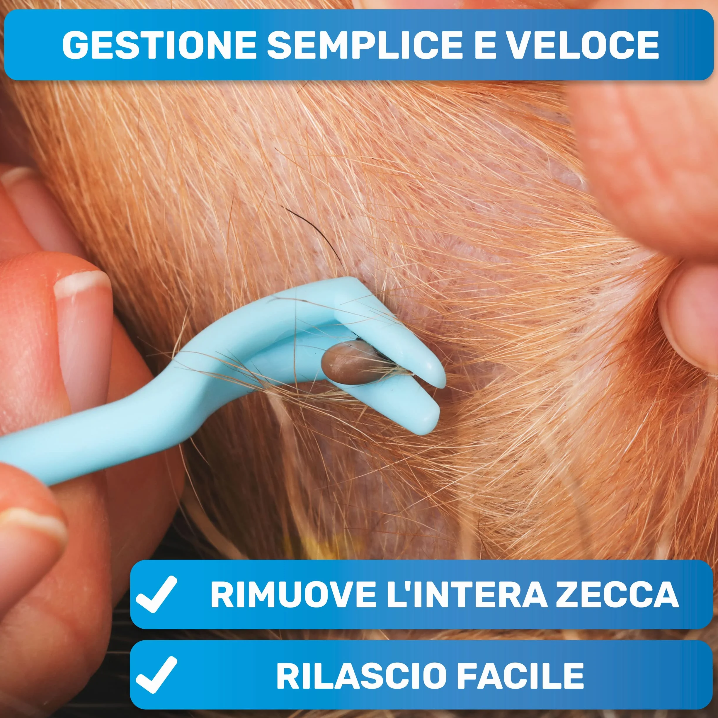 BluePet 3X Ganci per Zecche per Cani, Gatti, Cavalli e Umani - Rimuovi Zecche, Pinza per Zecche per Cane, Gatto, Uomo, Alternativa alle Pinzette per Zecche, Togliere Zecche e Tira Zecche