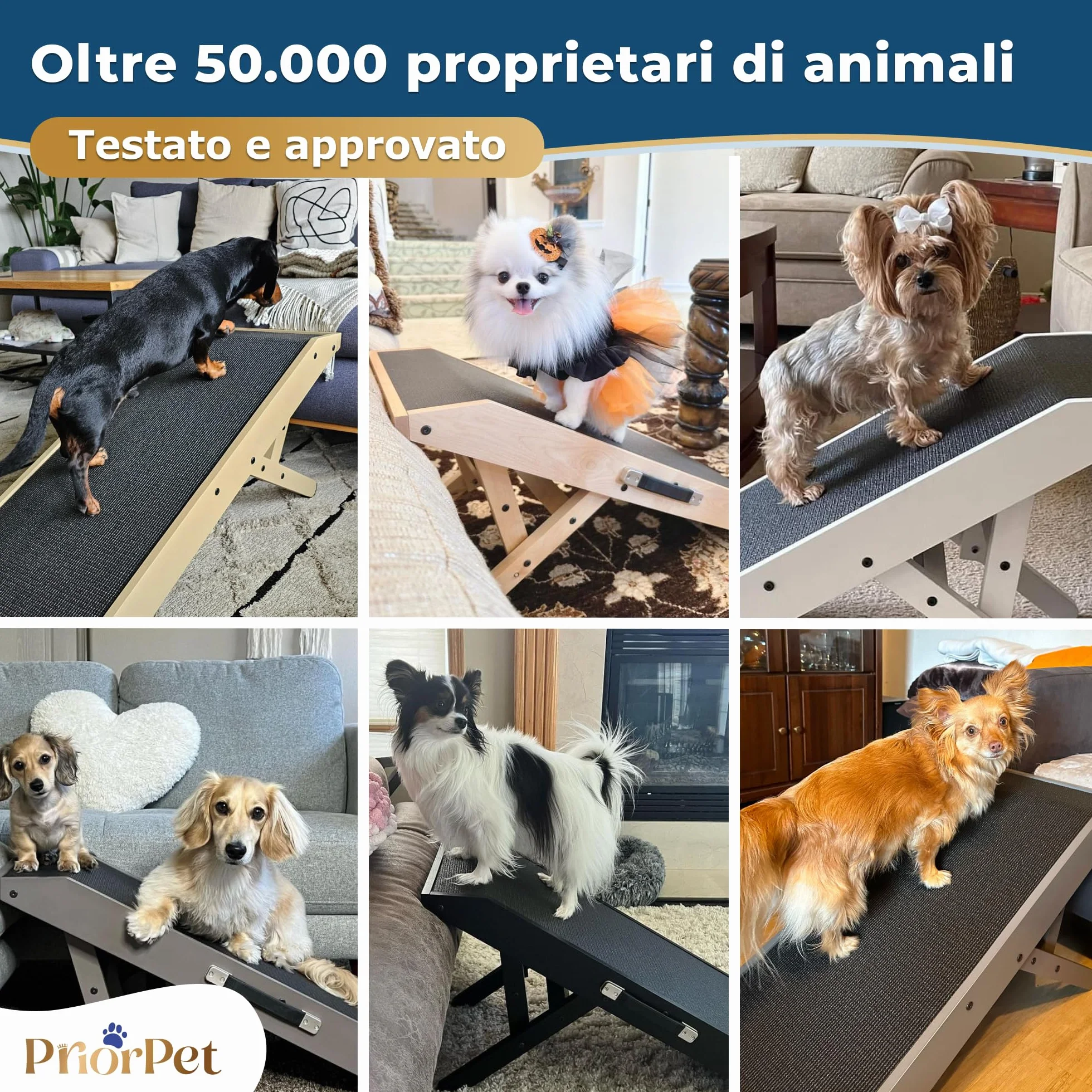 Rampa per Cani in Legno di Betulla Regolabile 18-53 cm Pieghevole per Letto e Divano