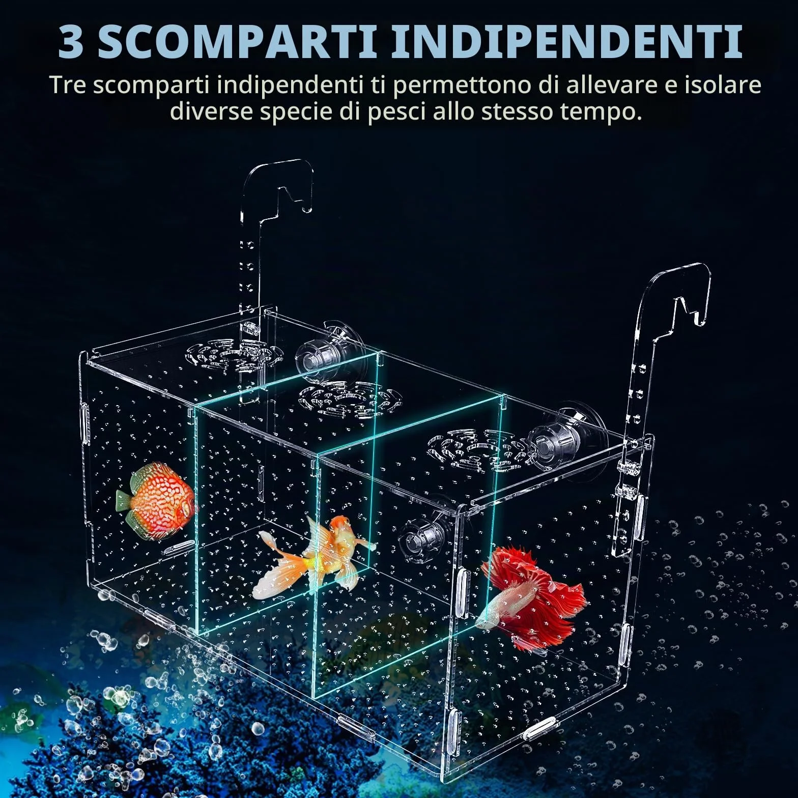 Scatola di Allevamento di Pesci d'Acquario, Scatola di Isolamento per Allevamento di Acquario Trasparente in Acrilico Incubatrice Pensili con Ventose per Neonati Gamberetti, 30x15x15 cm