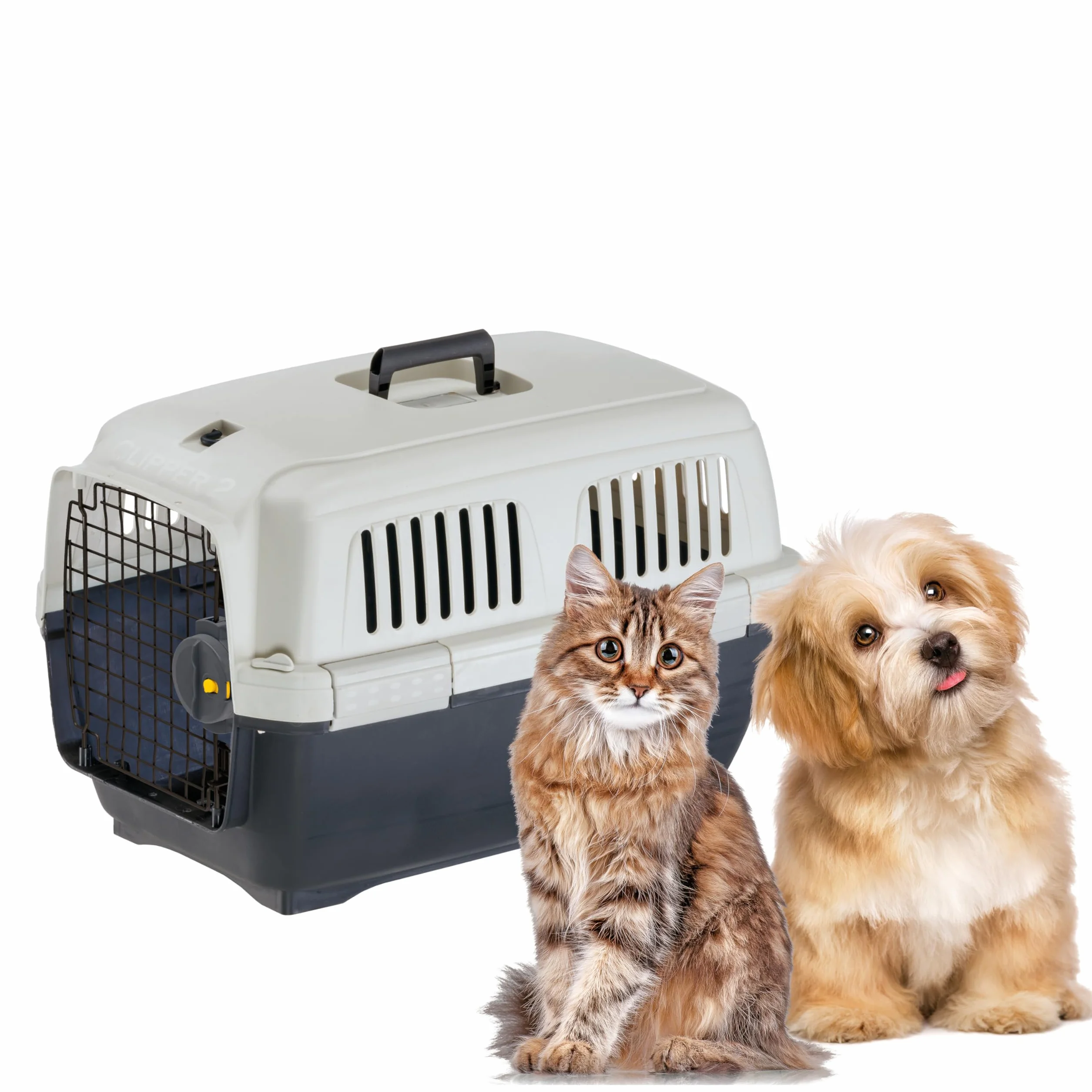 Ferplast Trasportino Gatto CLIPPER 2, Omologato IATA, Trasportino per Cani e Gatti di Piccola Taglia Max 8 Kg, 57x37xh36 cm, Porta in Acciaio, Chiusura Sicura