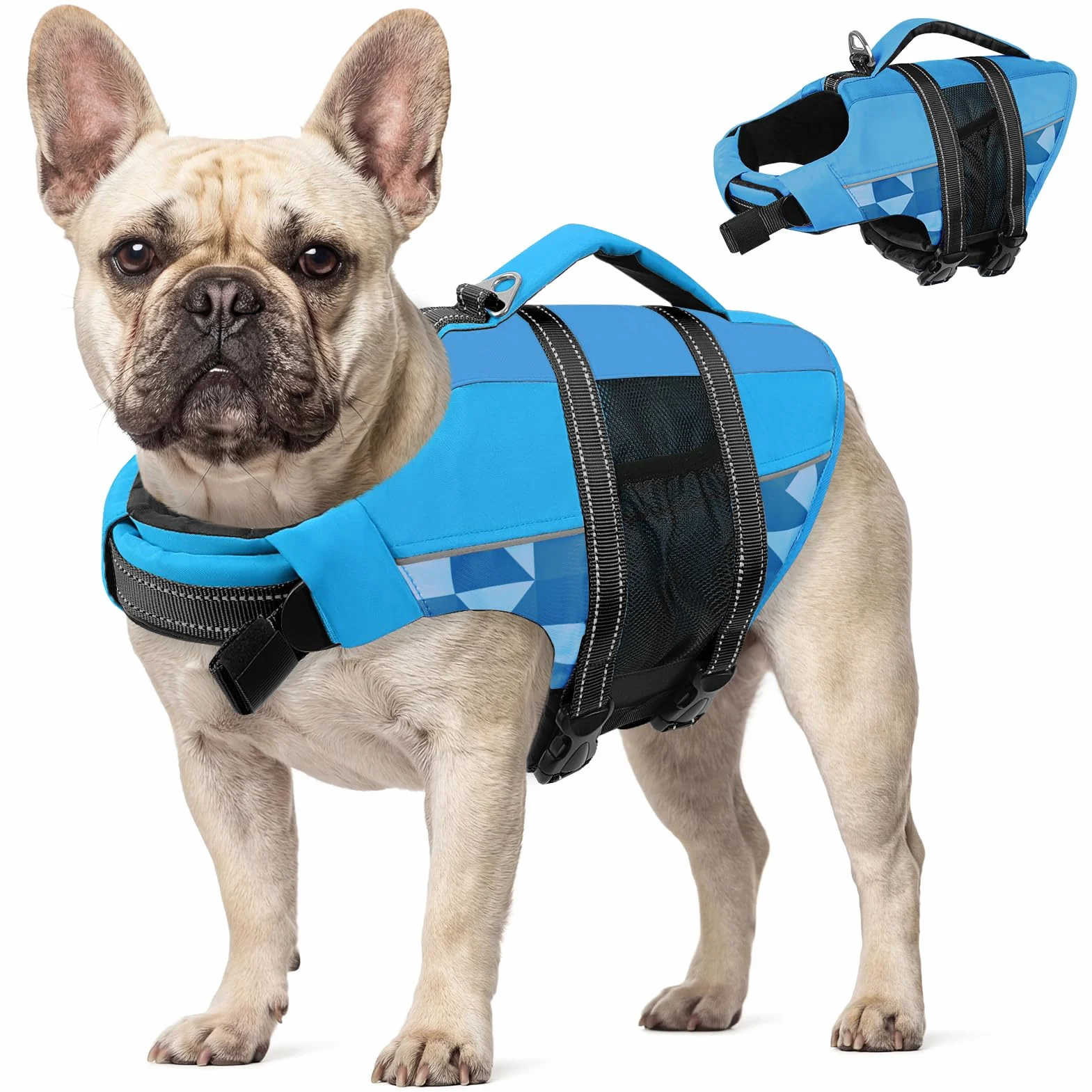 CITÉTOILE Giubbotti di Salvataggio per Cani, Regolabile Salvagente per Animali con Manico, Costume da Bagno di Sicurezza in Acqua per la Vela in Piscina Sulla Spiaggia, Blu, M
