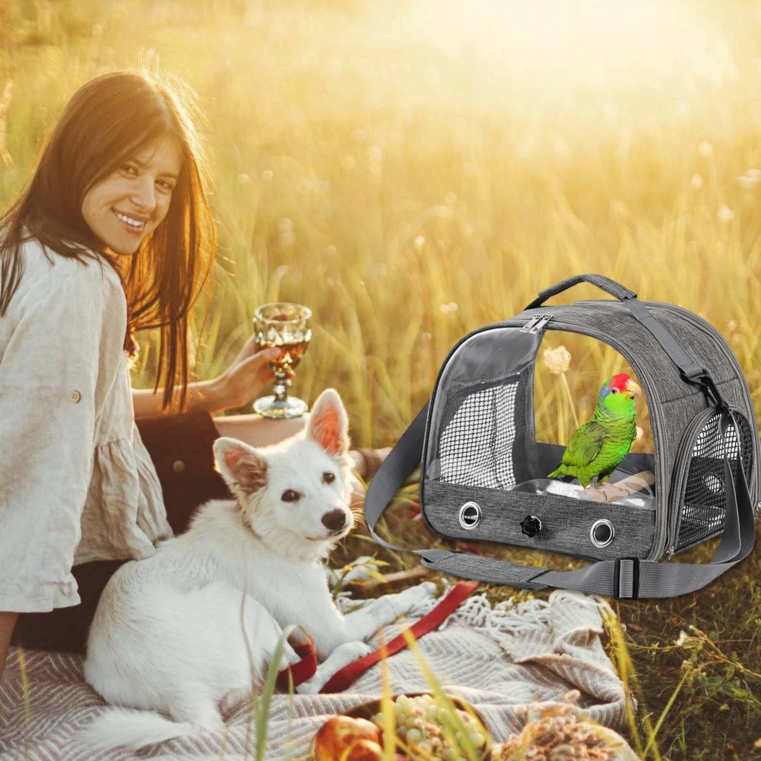 Asfrode Borsa per il trasporto con asta e vassoio in acciaio inox, leggera, per il trasporto di uccelli, per pappagalli, pappagalli, parrocchetti