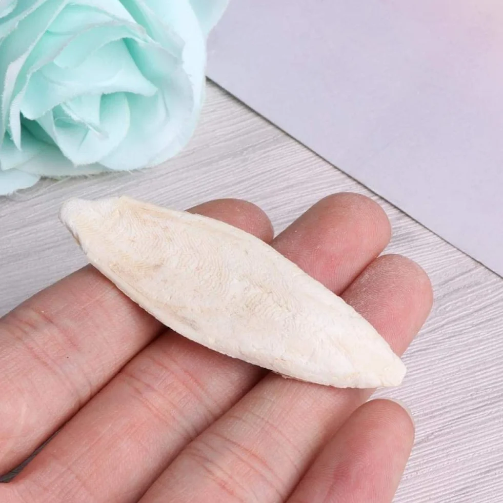 Naturali Osso di Seppia Pappagalli Giocattoli Masticazione Uccelli Gabbia Rettili Tartarughe Lumache