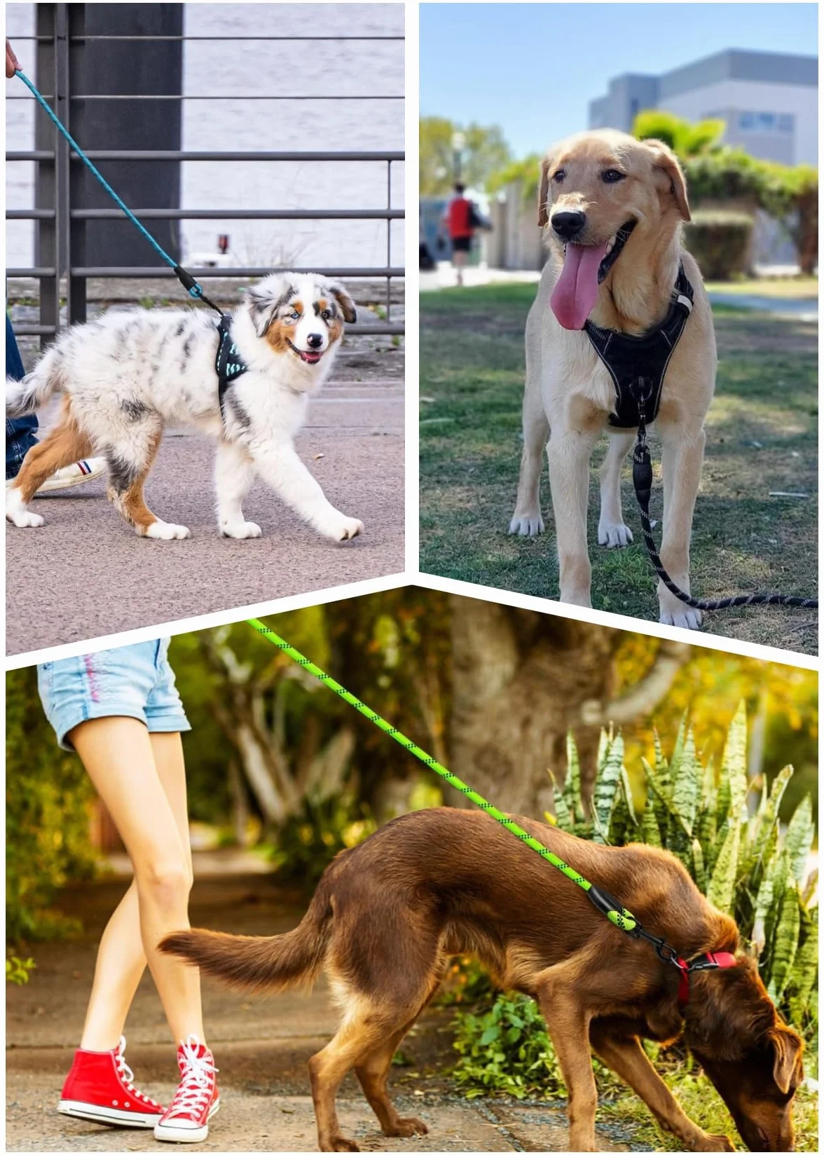 Corda in nylon resistente da 1,5 metri, Guinzaglio per Cani | Guinzaglio Addestramento con Manico Morbido | Per Cani Piccoli, Medi e Grandi (Blu, Gancio metallico)