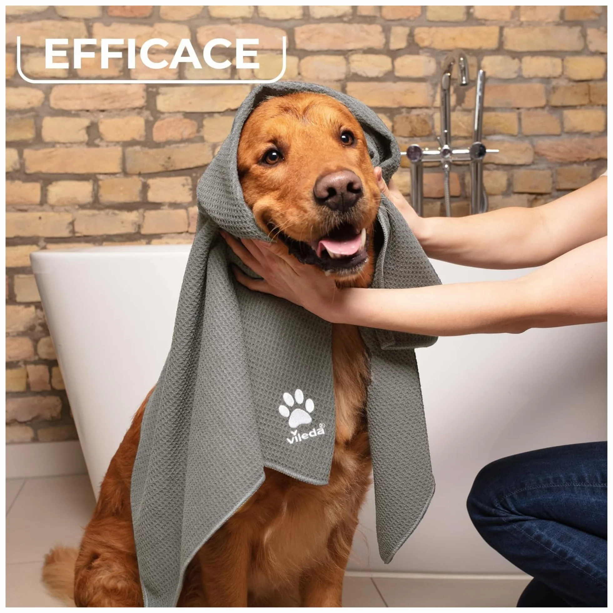 FEI FAN Panno per Cani in Microfibra, Pet PRO, Taglia XL (65x100cm) (2 unità)