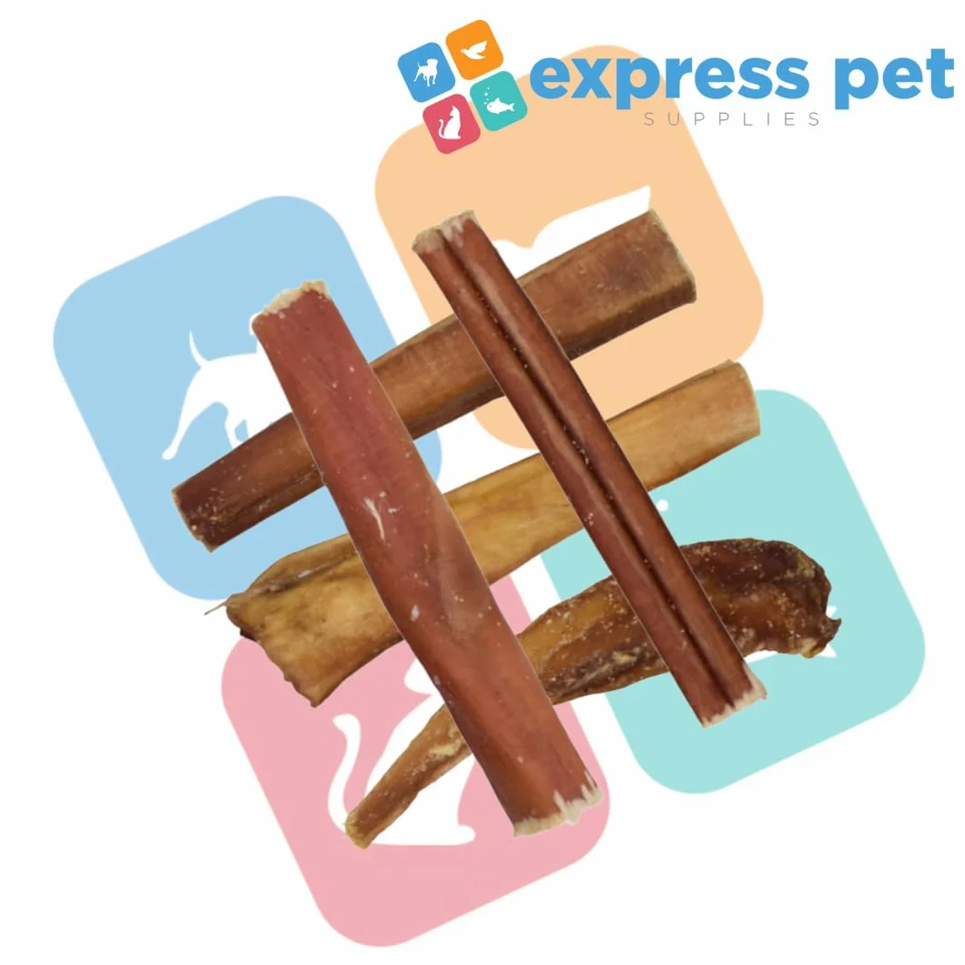 Express Pet Supplies 20 bastoncini da masticare (spessi) Bulls PIZZLES Bully per cani