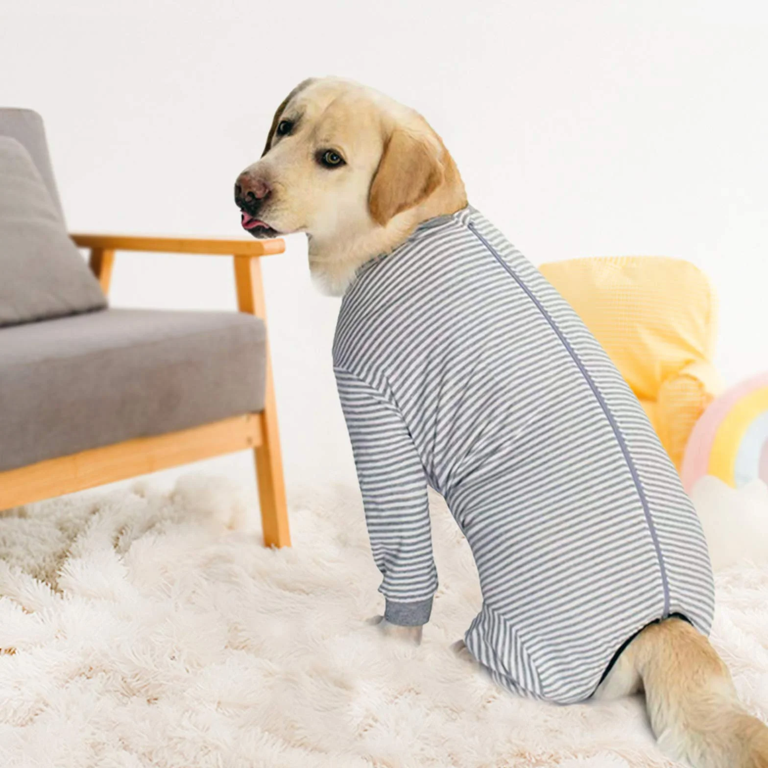 Tutina per Cani di Taglia Grande e Media Anti-Perdita Protezione Ferite 4XL Grigio